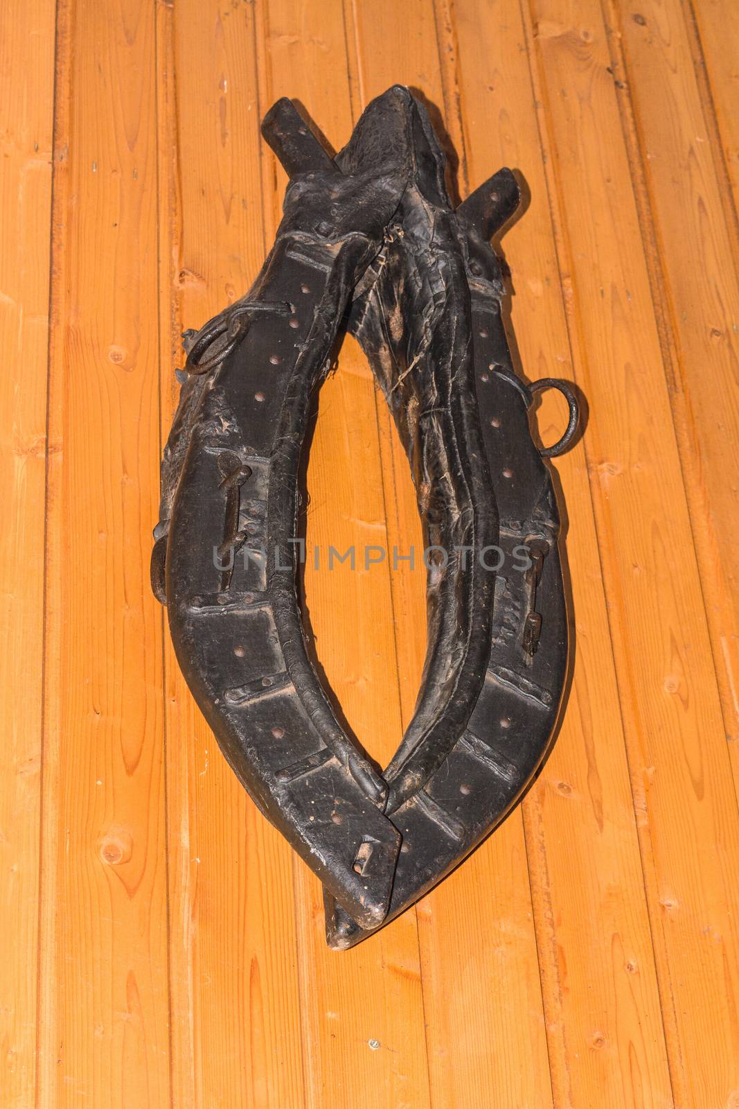 Horse collar hanging on a wooden wall.