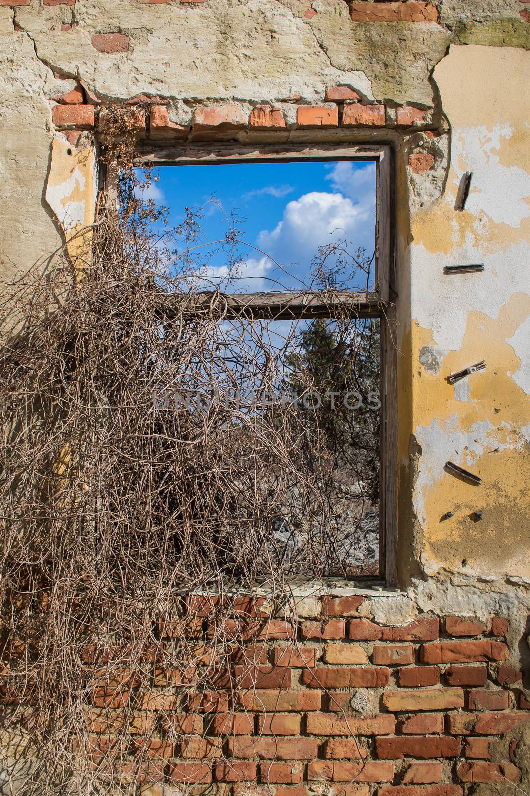 Frame of a former window in a very damaged wall with bricks visible. Tree and blue sky with clouds in the window.