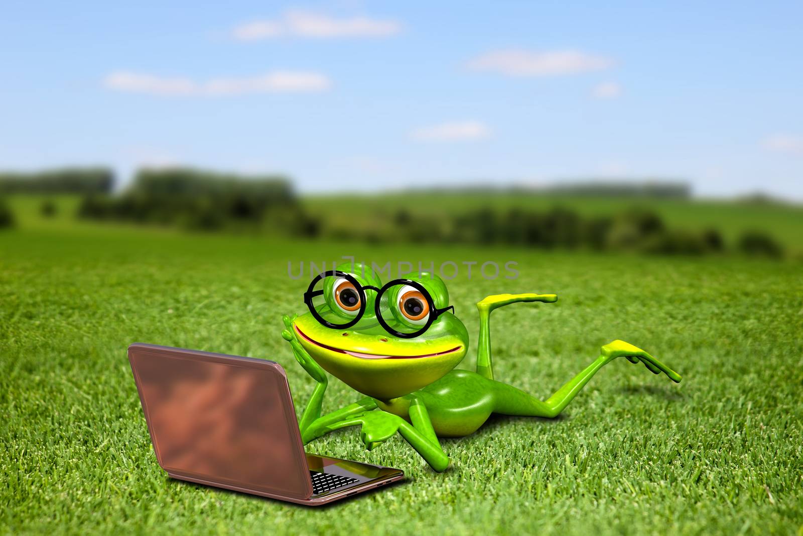 Frog with a laptop on the grass by brux