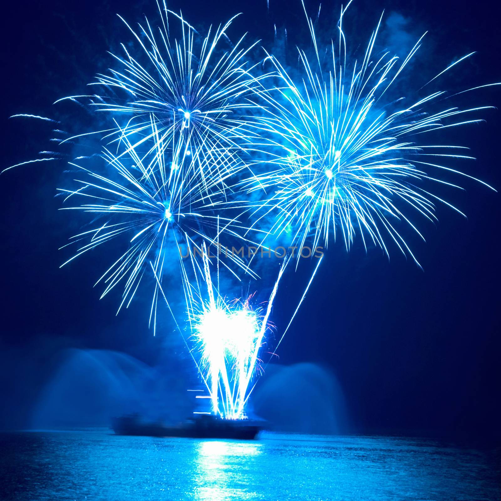 Colorful fireworks on the black sky background