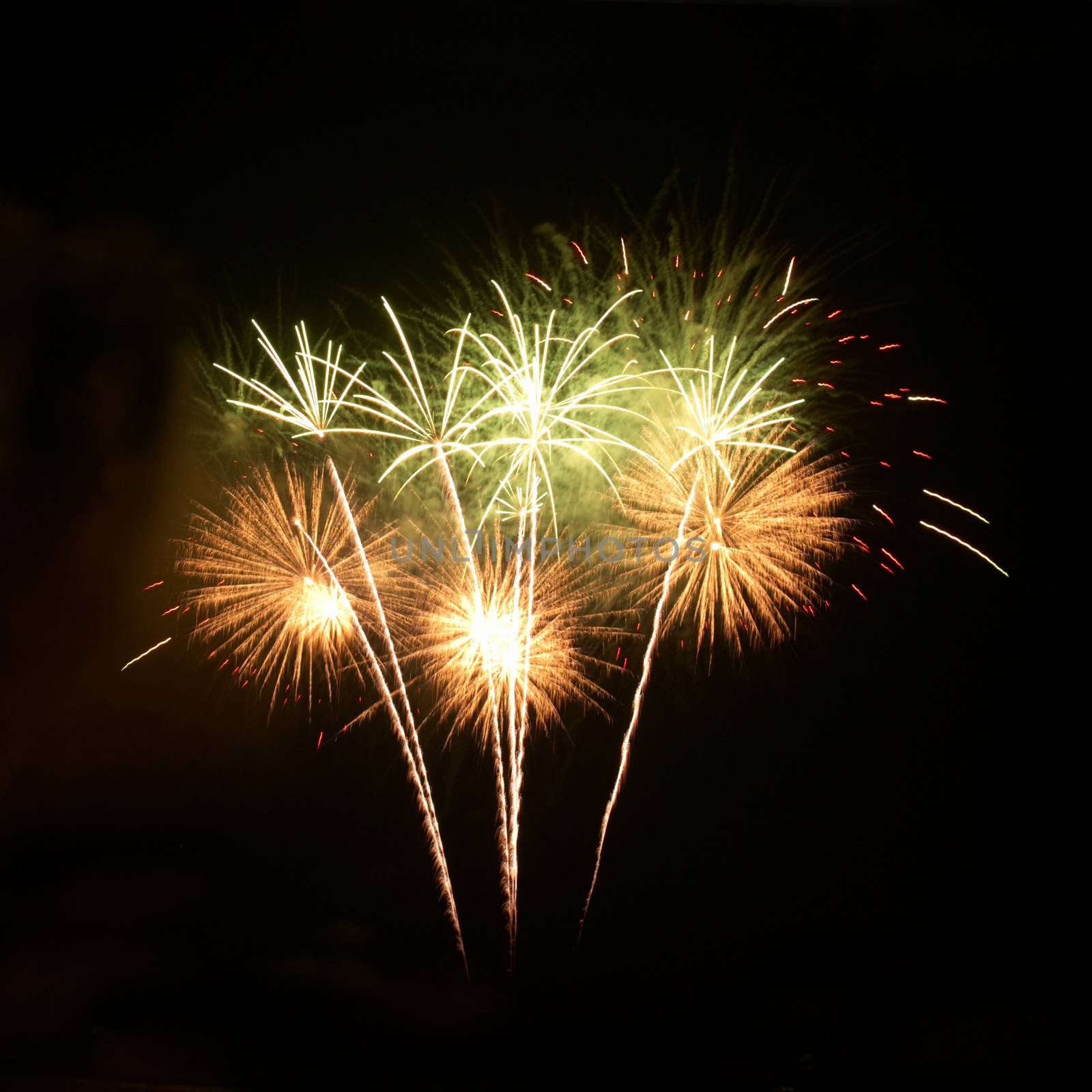 Colorful fireworks on the black sky background