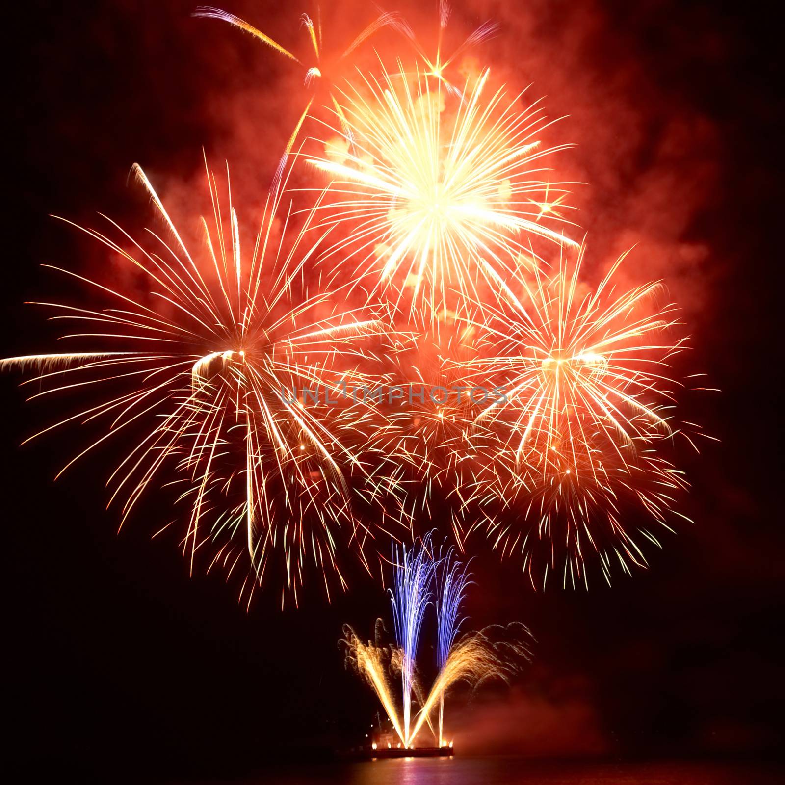 Colorful fireworks on the black sky background