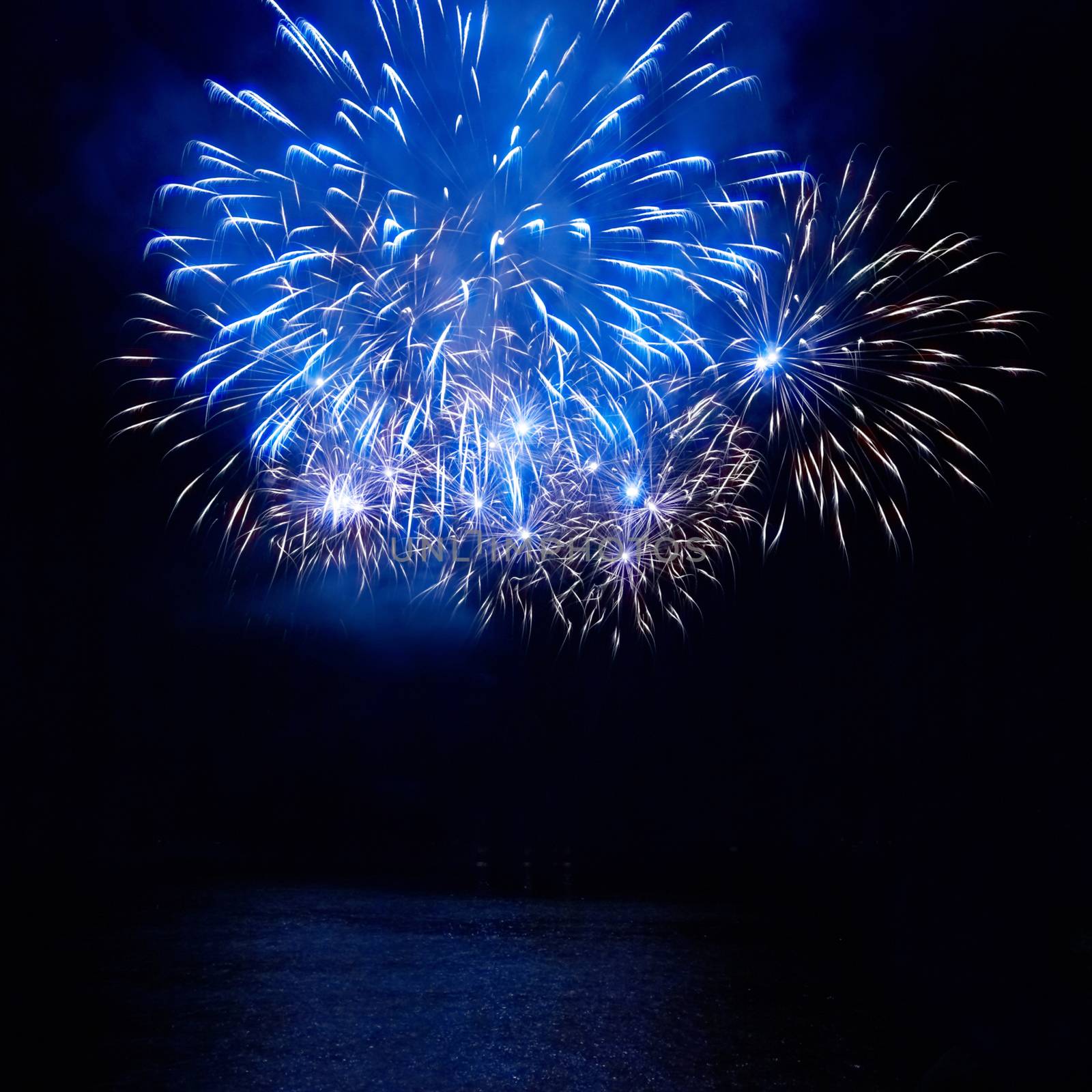 Colorful fireworks on the black sky background