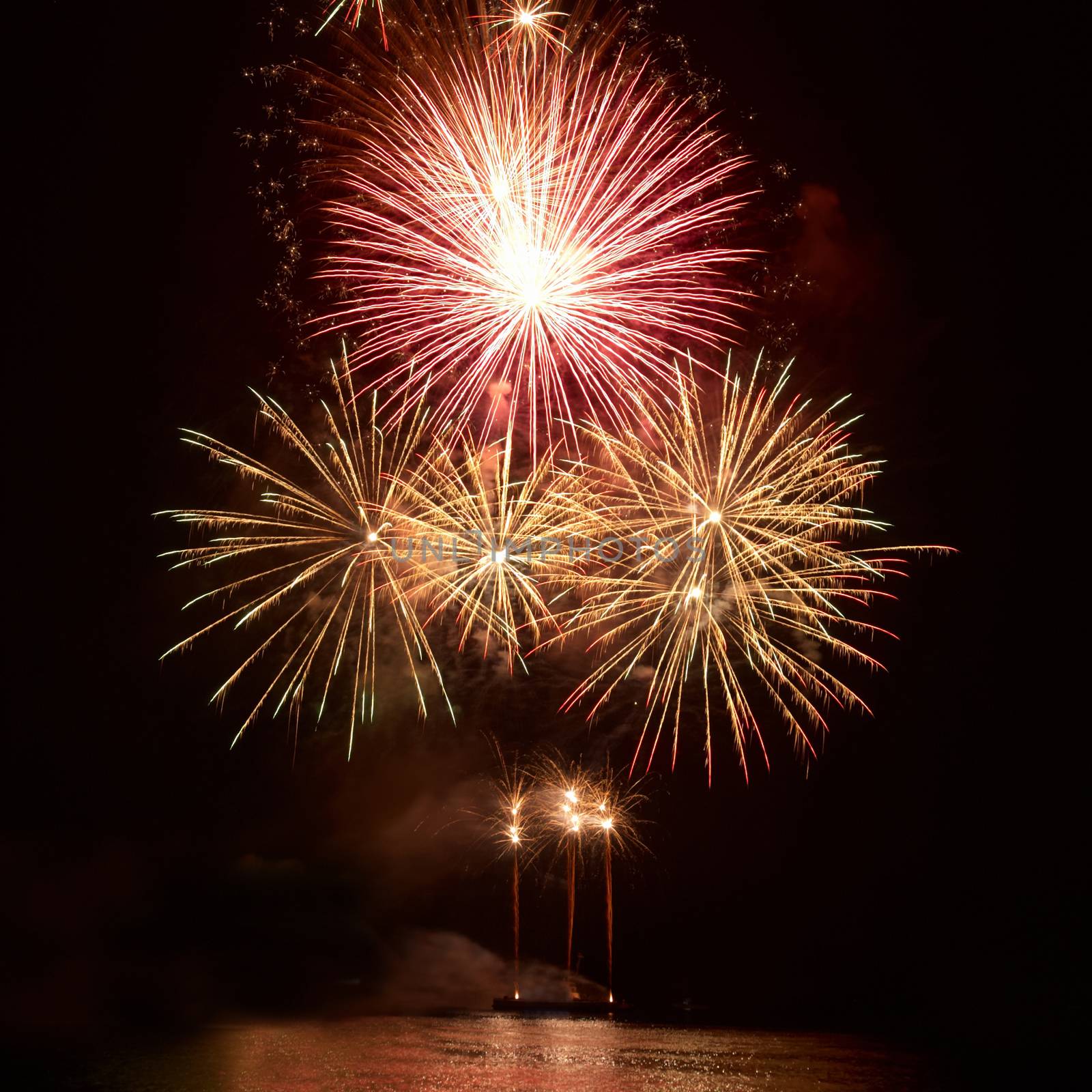 Colorful fireworks on the black sky background