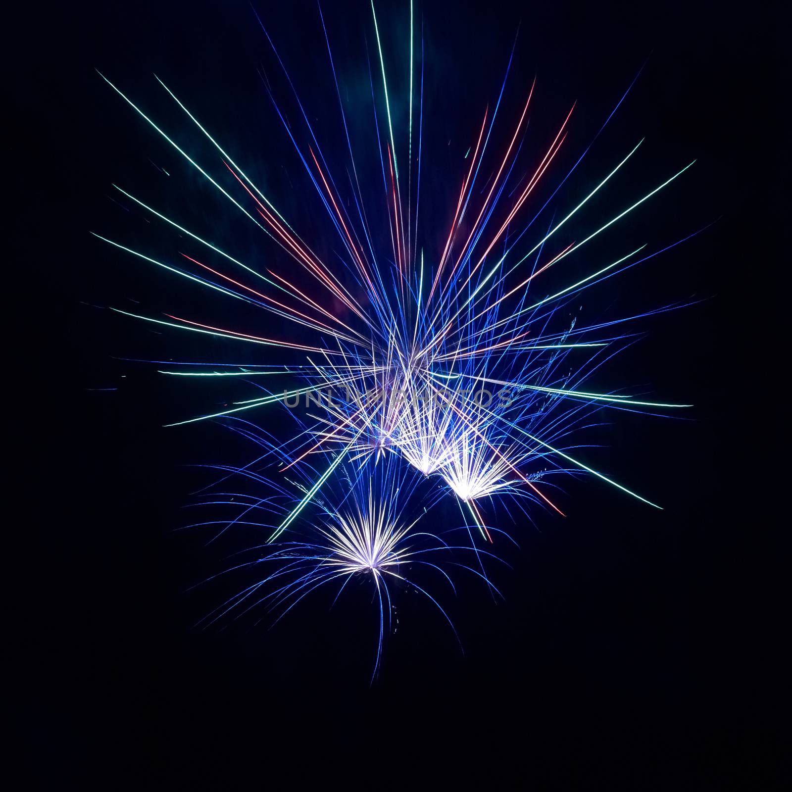 Colorful fireworks on the black sky background