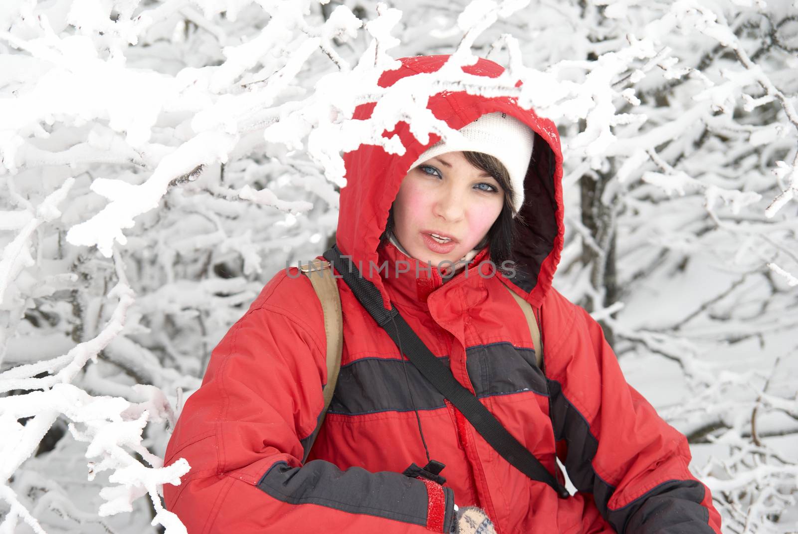 Pretty winter girl in the snow forest