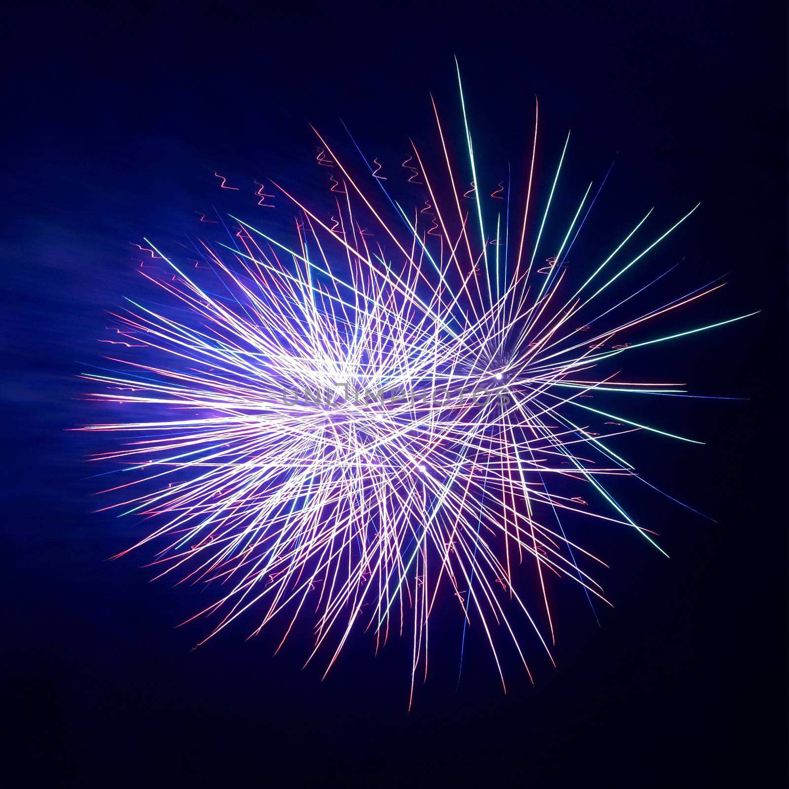 Colorful fireworks on the black sky background