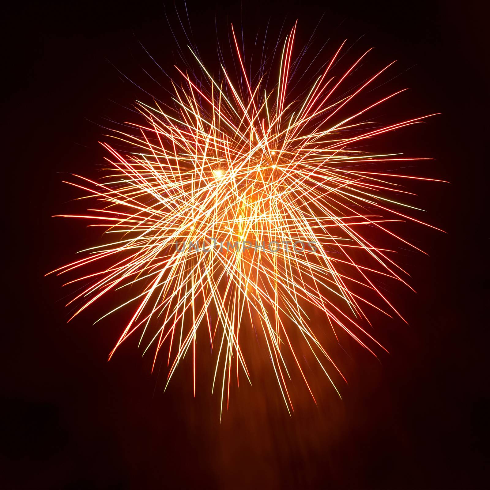 Colorful fireworks on the black sky background