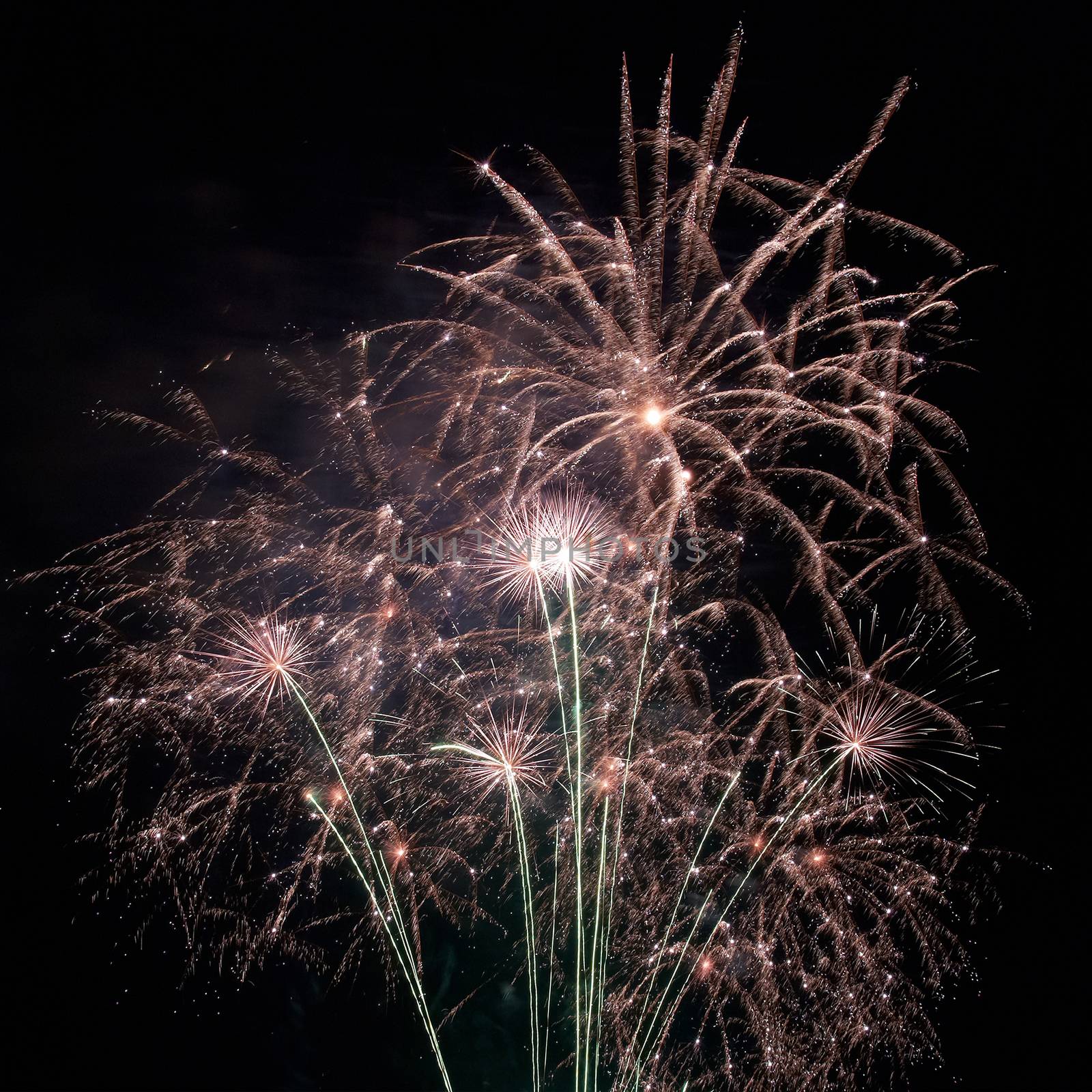 Beautiful fireworks on the black sky background