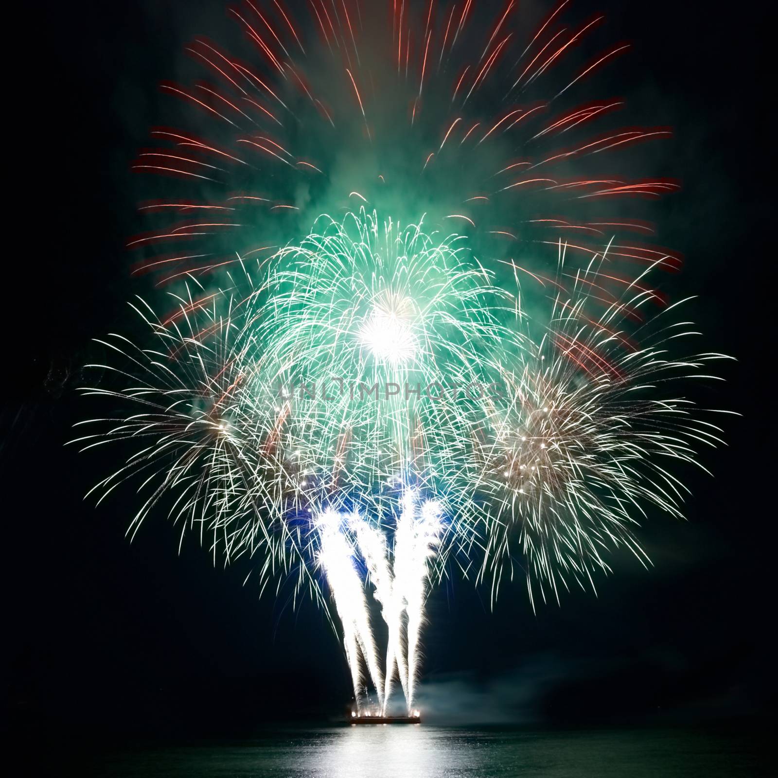 Colorful fireworks on the black sky background