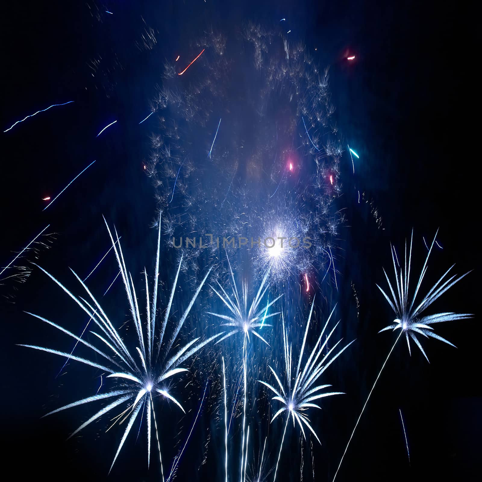 Blue colorful fireworks on the black sky background. Holiday celebration.