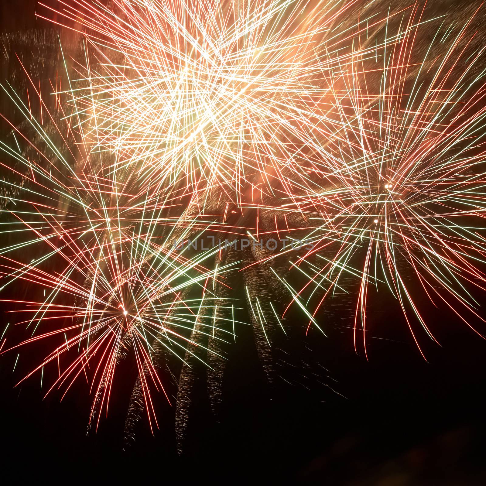 Colorful fireworks on the black sky background