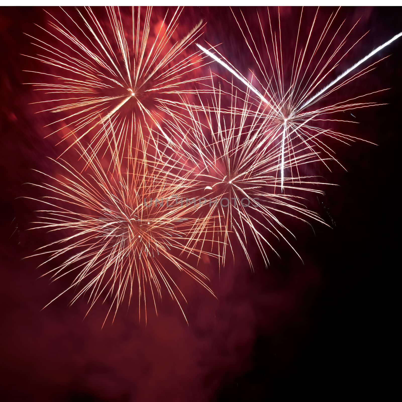 Red colorful fireworks on the black sky background. Holiday celebration.