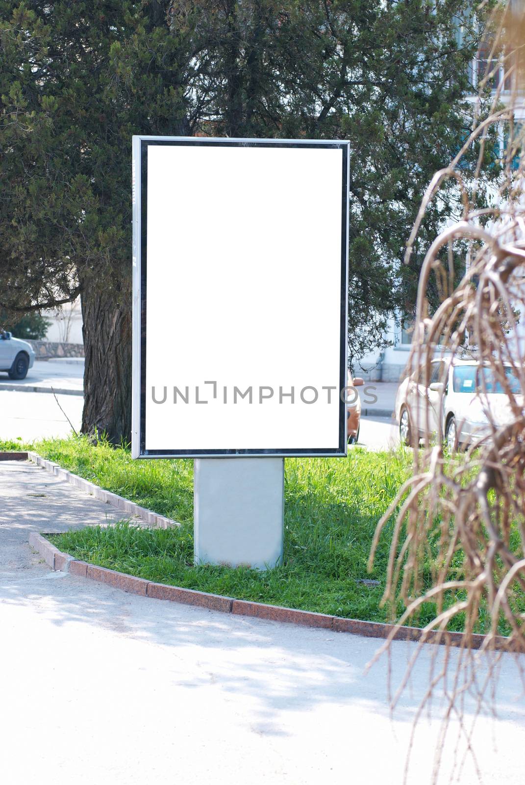 Vertical blank billboard on the city street