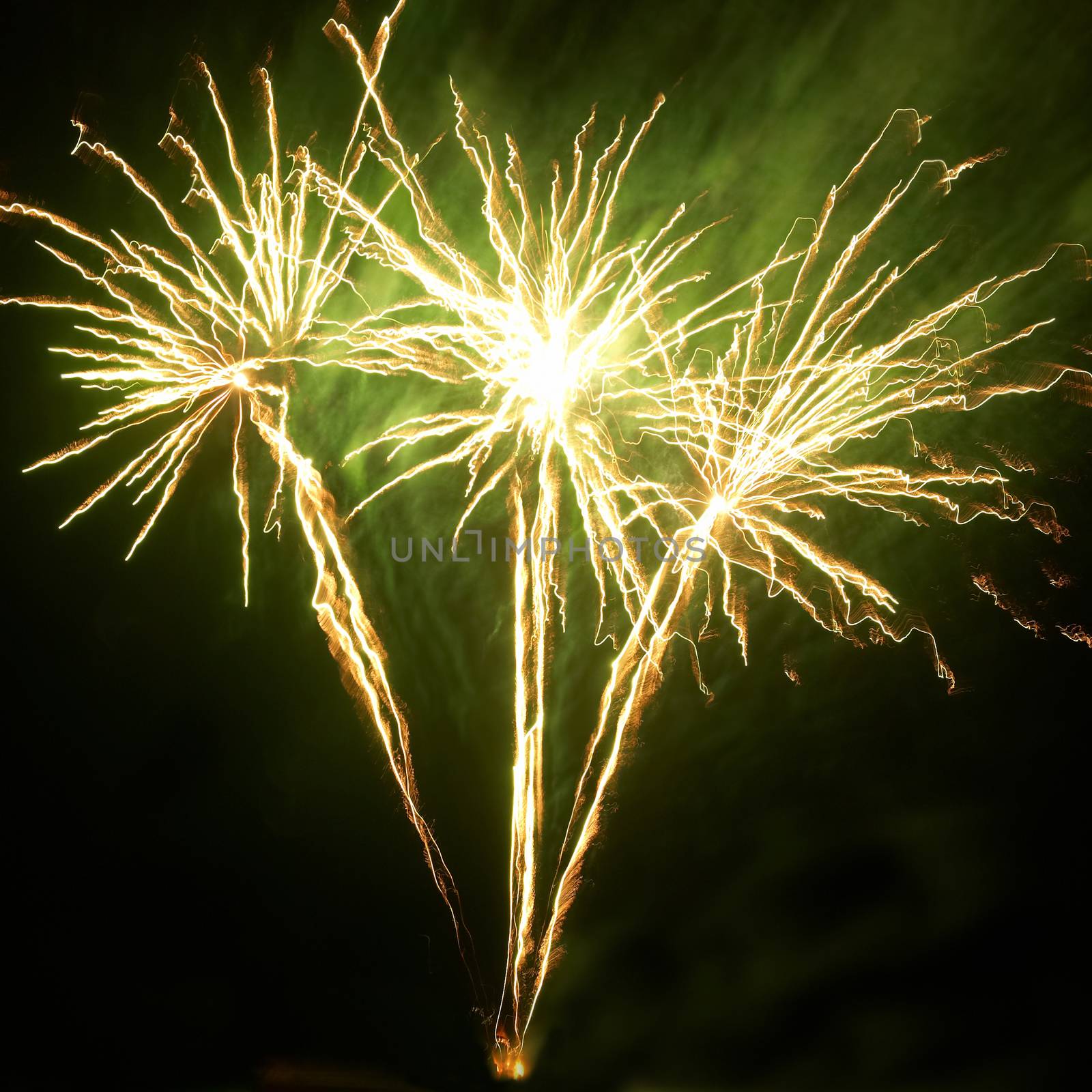 Colorful fireworks on the black sky background