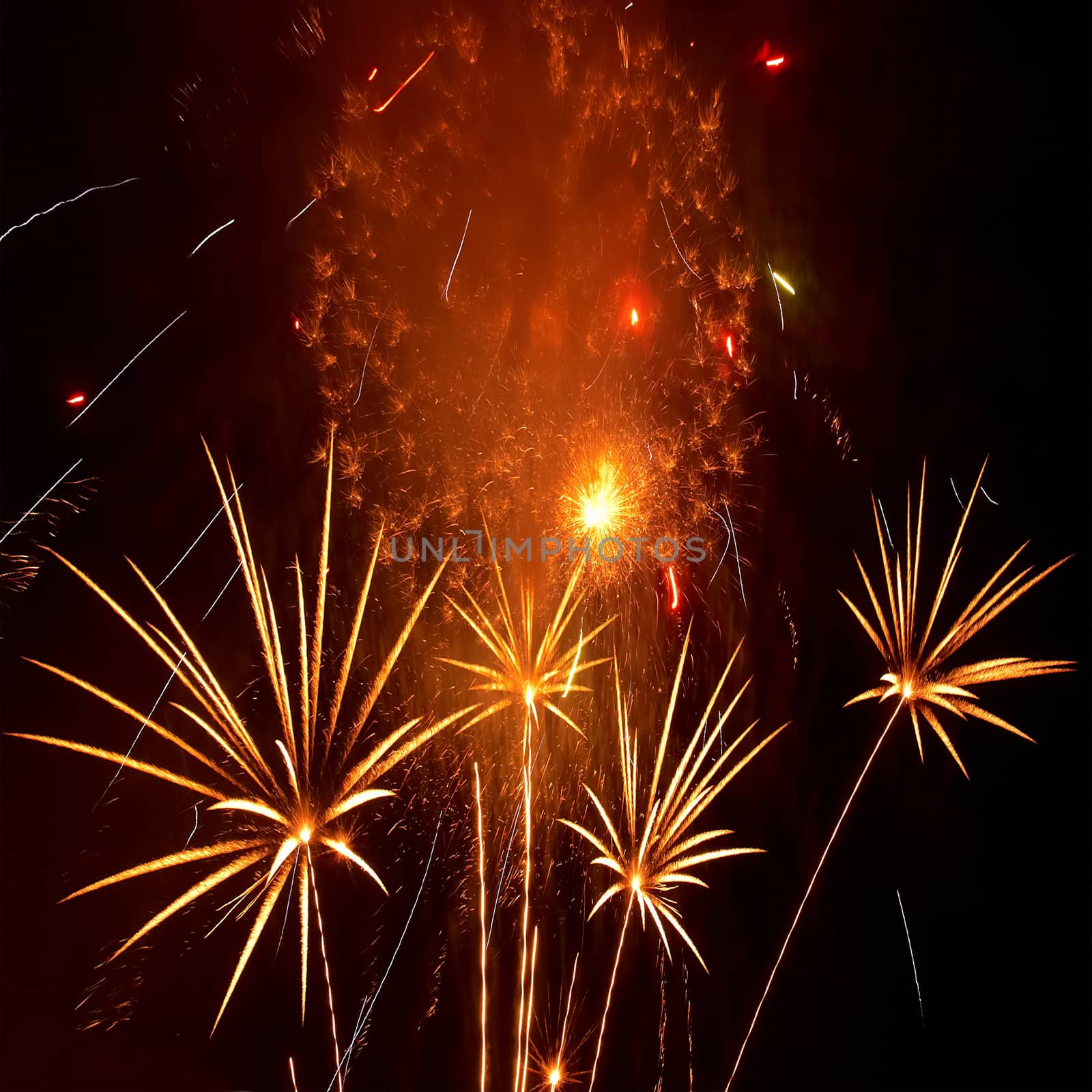 Blue colorful fireworks on the black sky background. Holiday celebration.