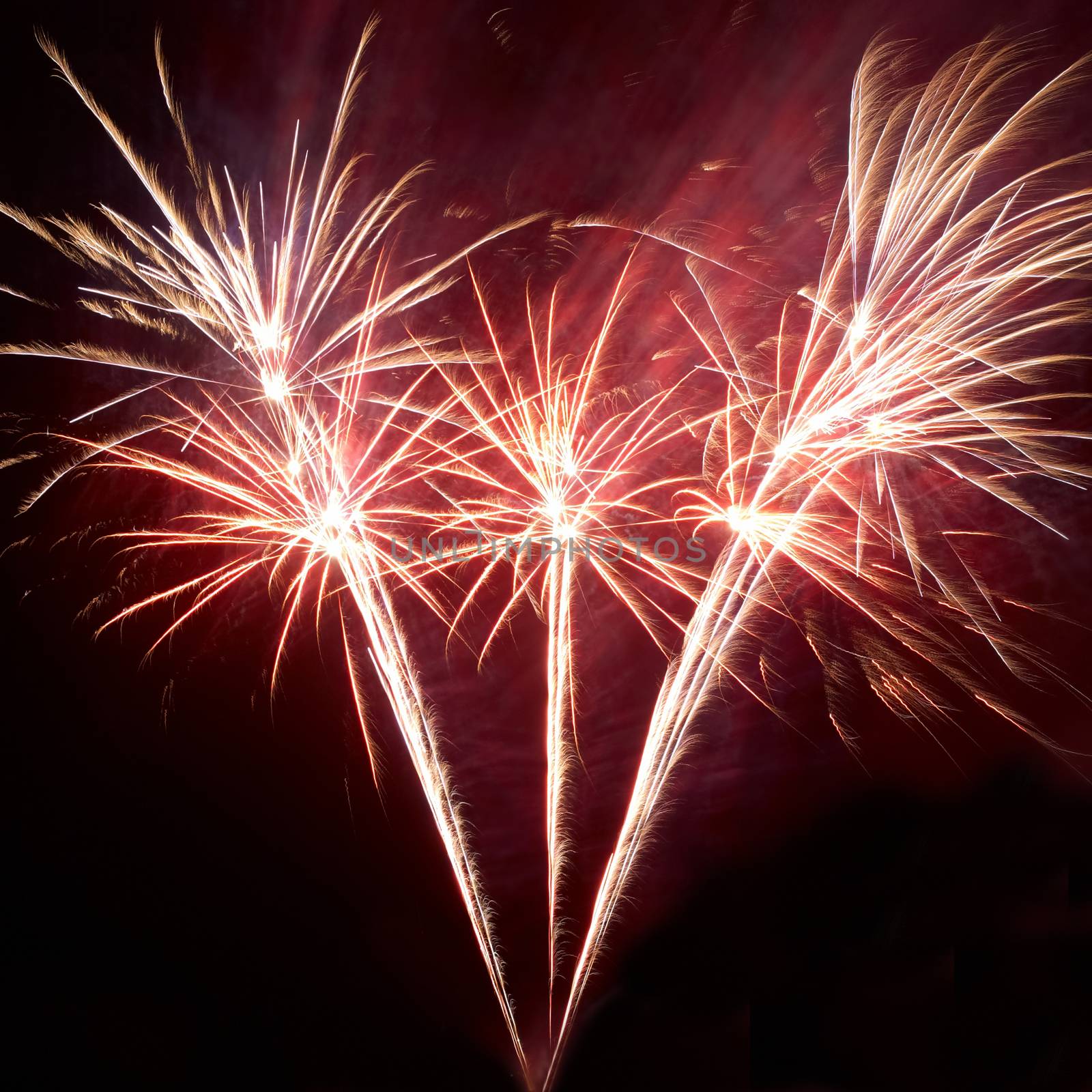 Colorful fireworks on the black sky background