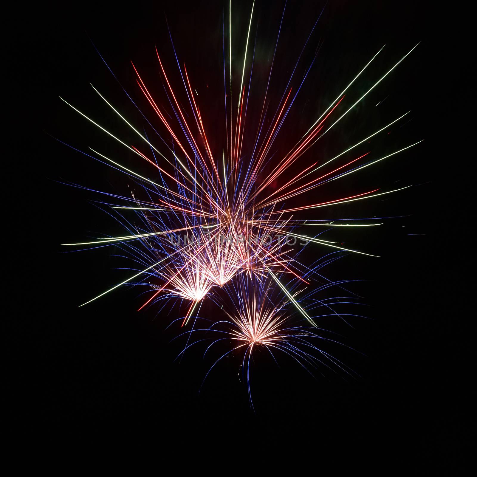 Colorful fireworks on the black sky background