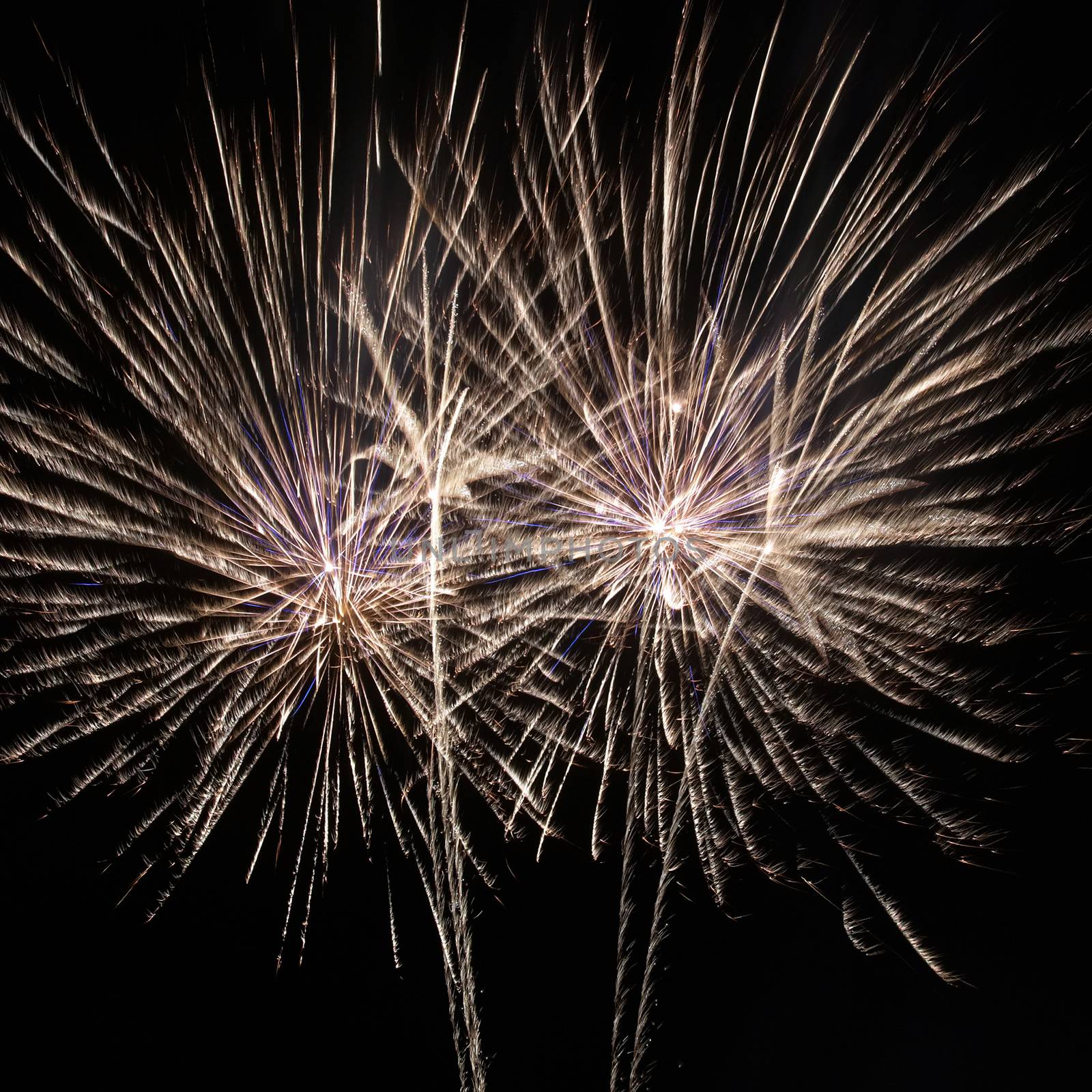 Colorful fireworks on the black sky background