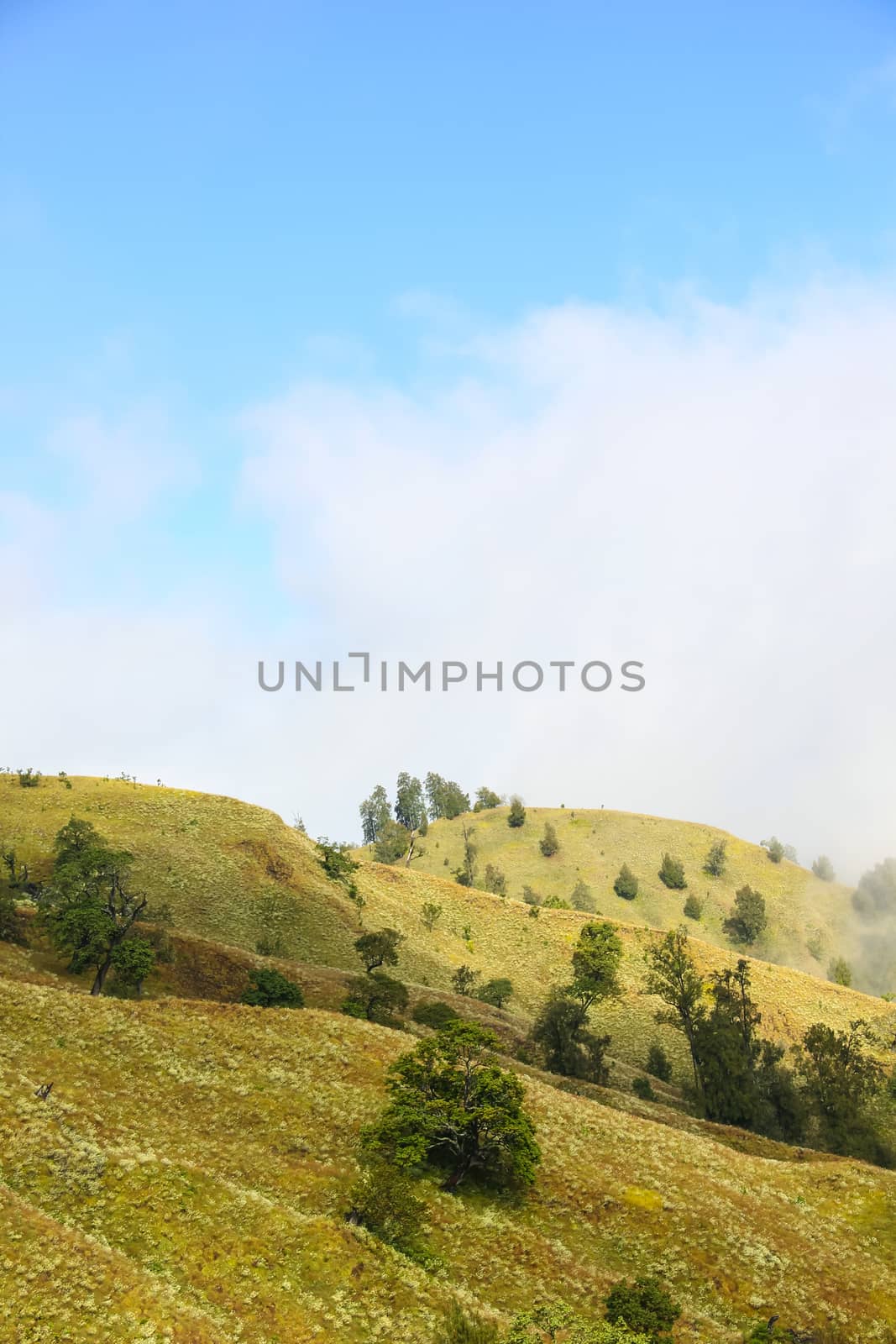 Landscape on mountain with grass and cloud