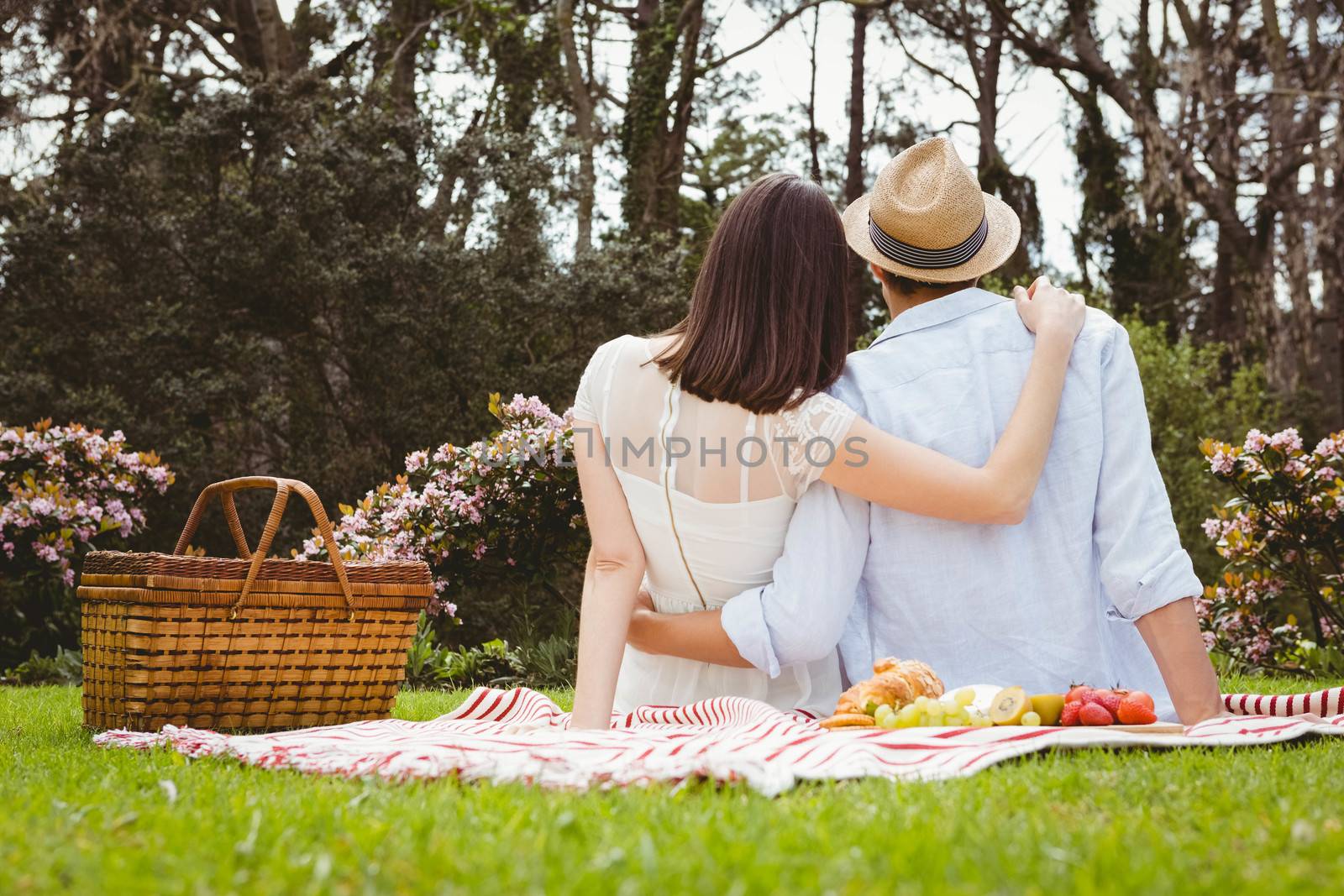 Rear view of young couple embracing each other in garden