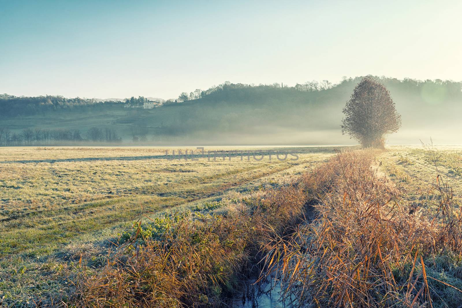 Low fog in sunday morning by jordygraph