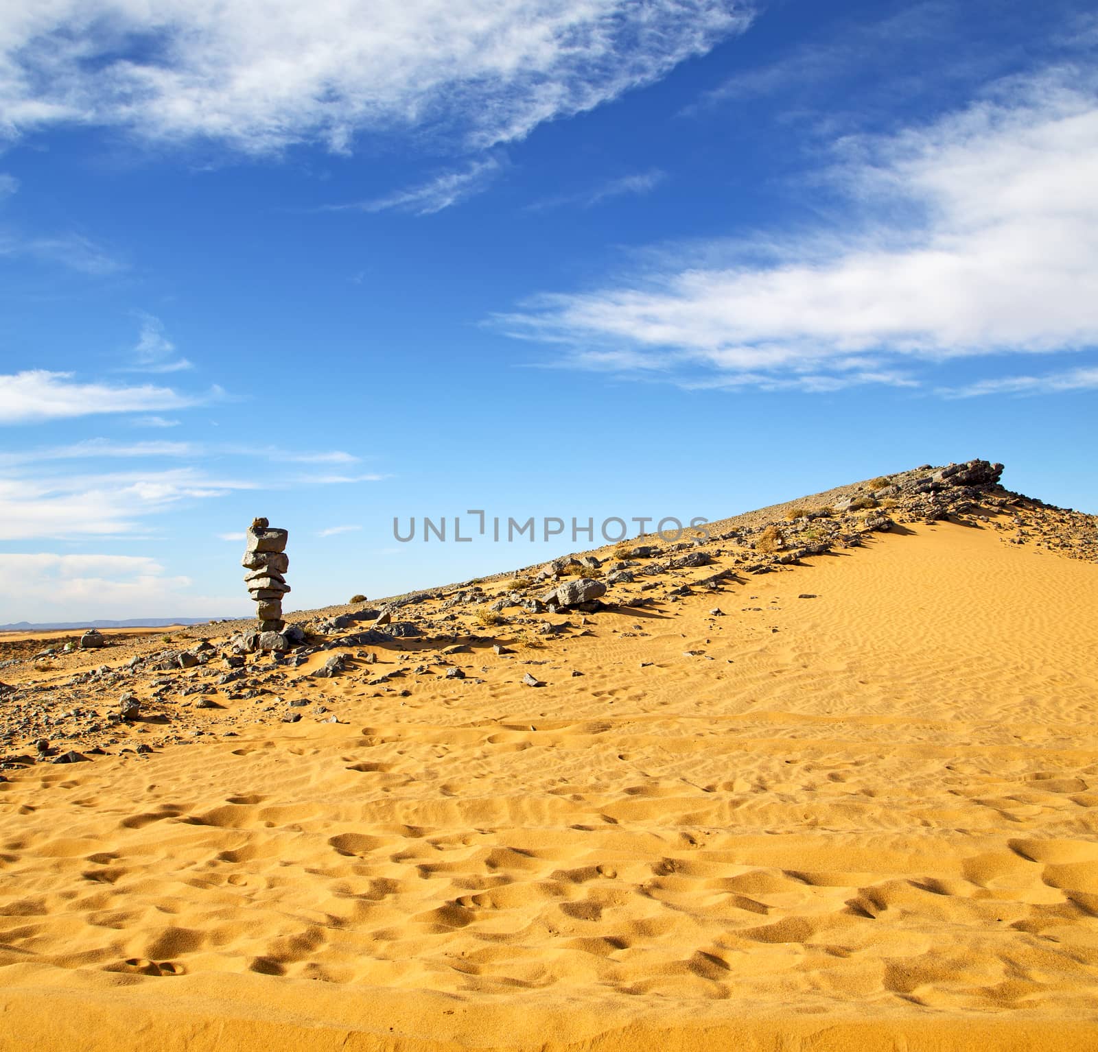  old fossil in  the desert of morocco sahara and rock  stone sky