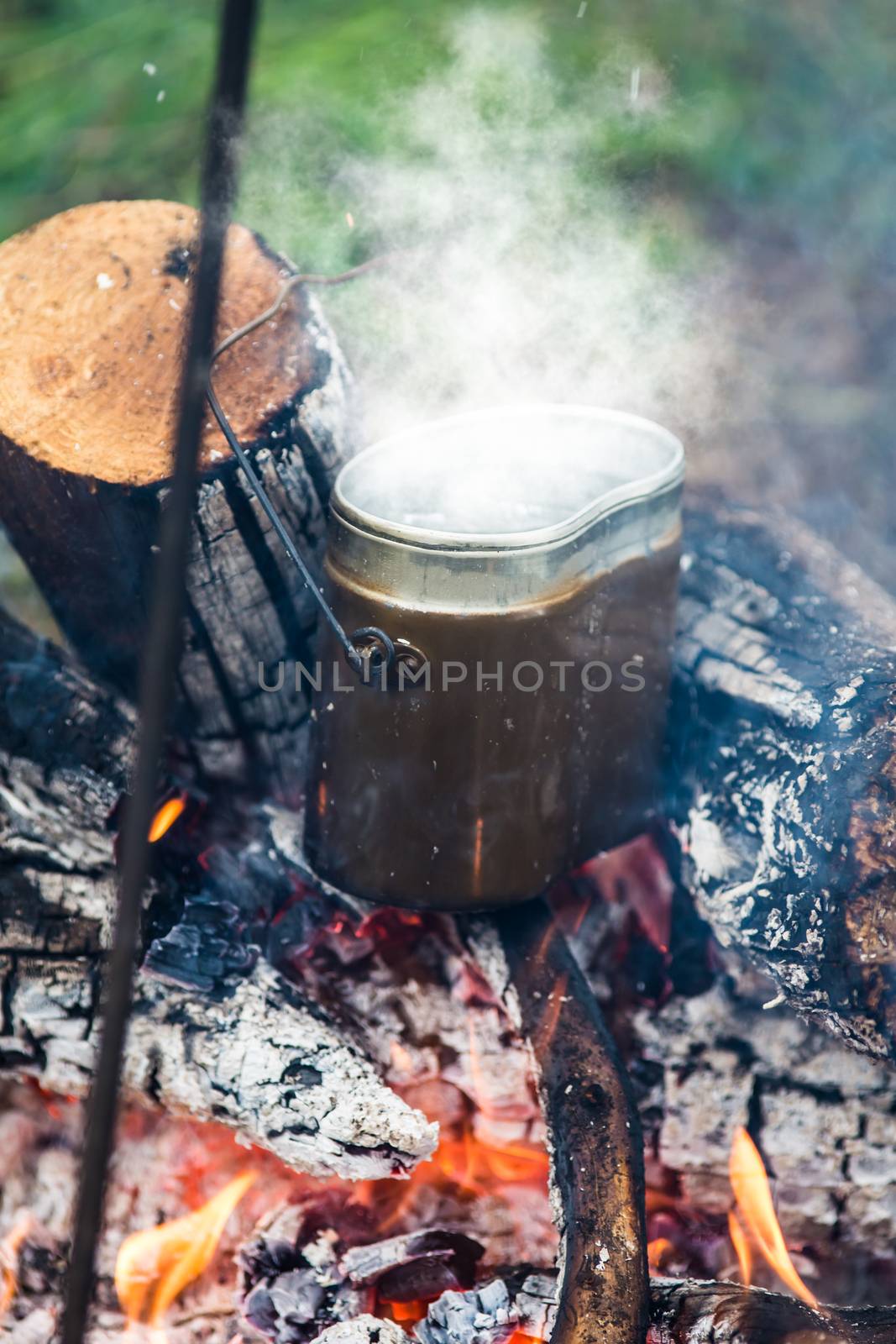 meal preparation in a pot on the fire