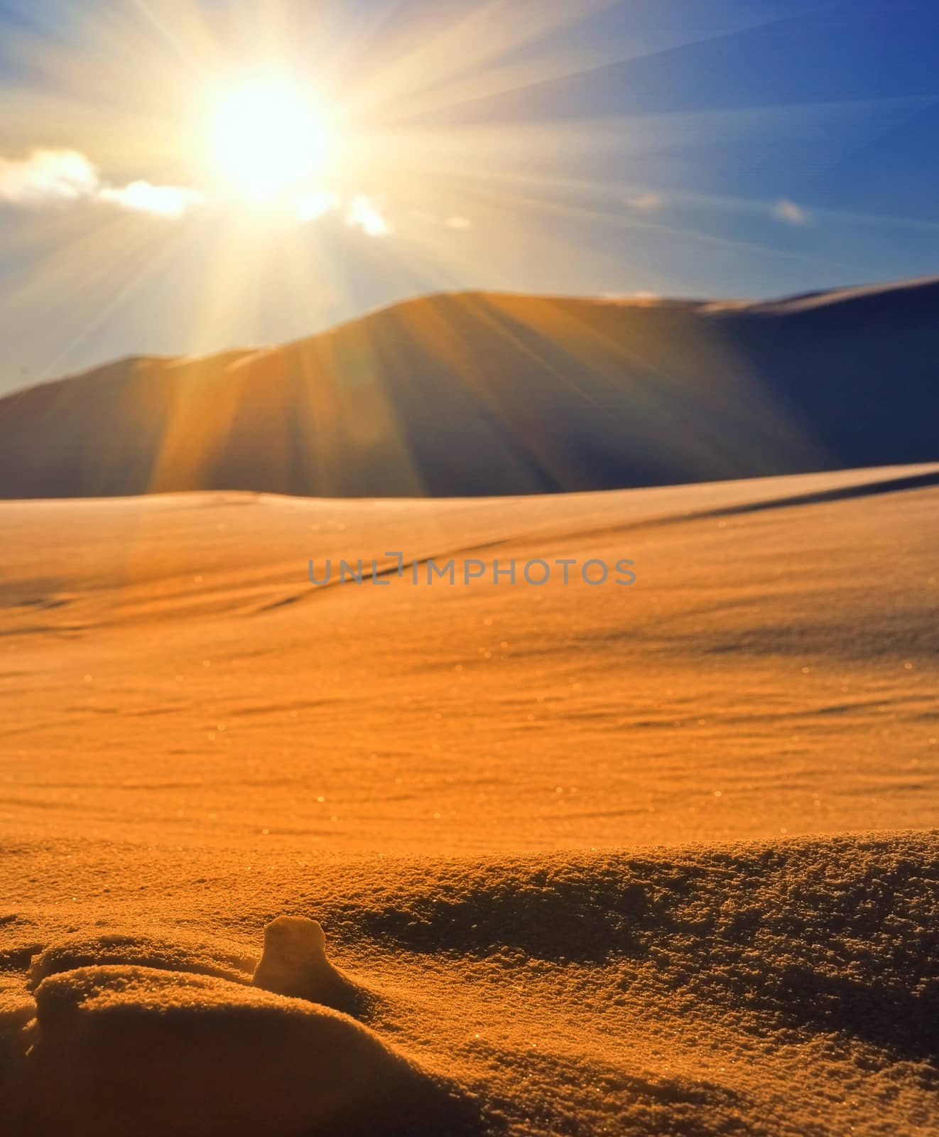 sand dune in a desert at the evening