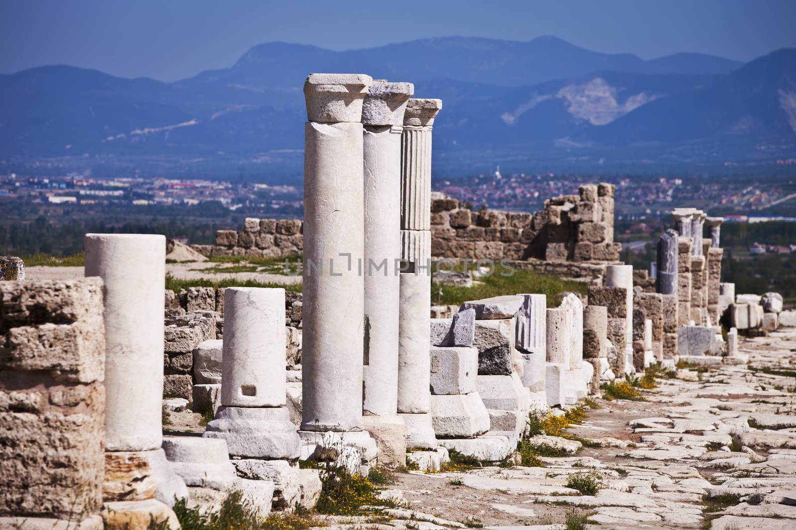 Columns Along Main Road into Laodicea by Creatista