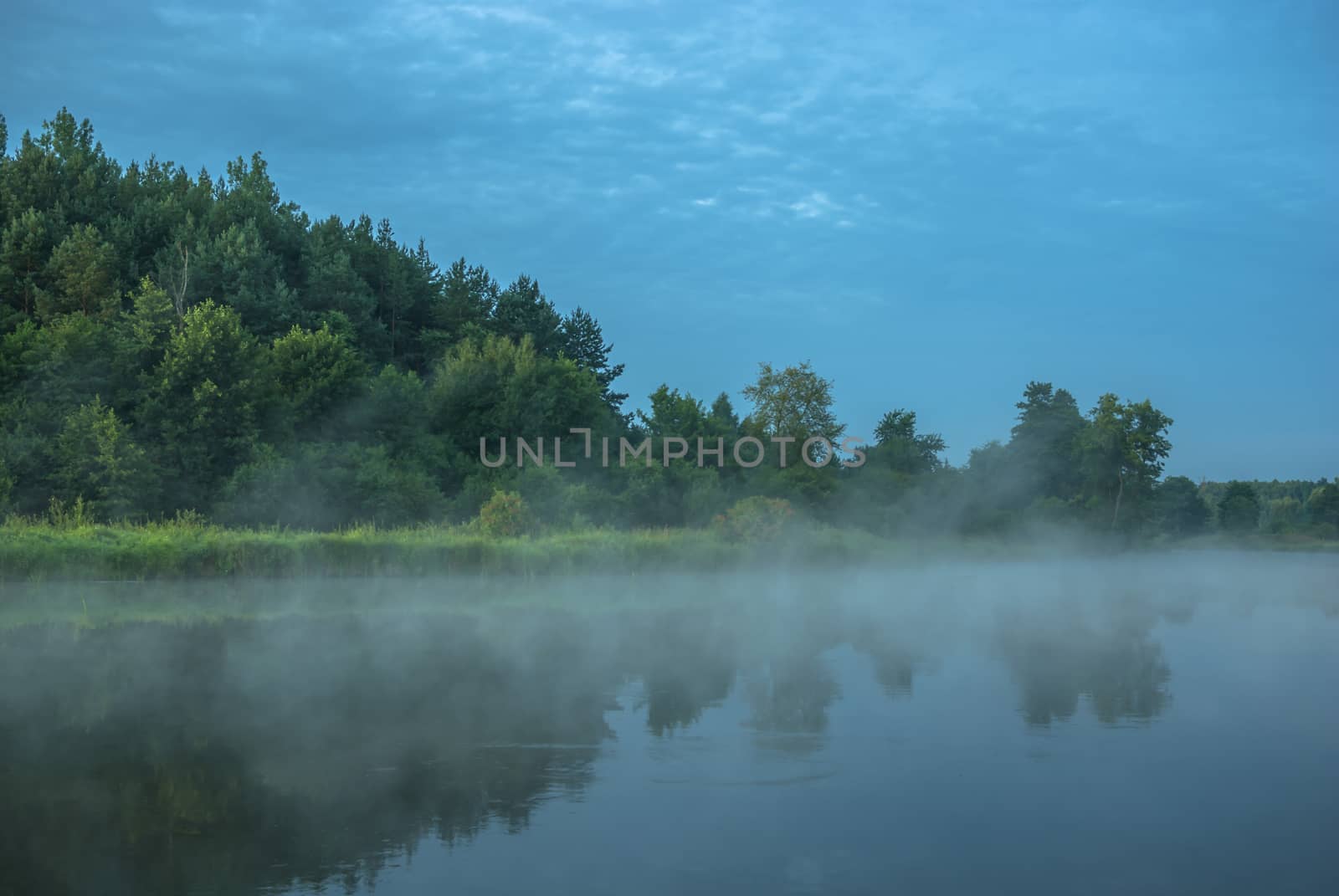 landscape with natural foggy river, nature series