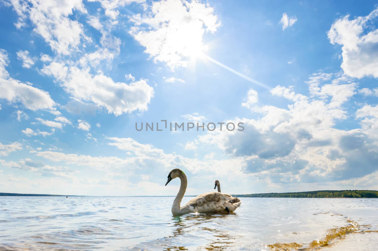 blue sky, natural clouds, nature series