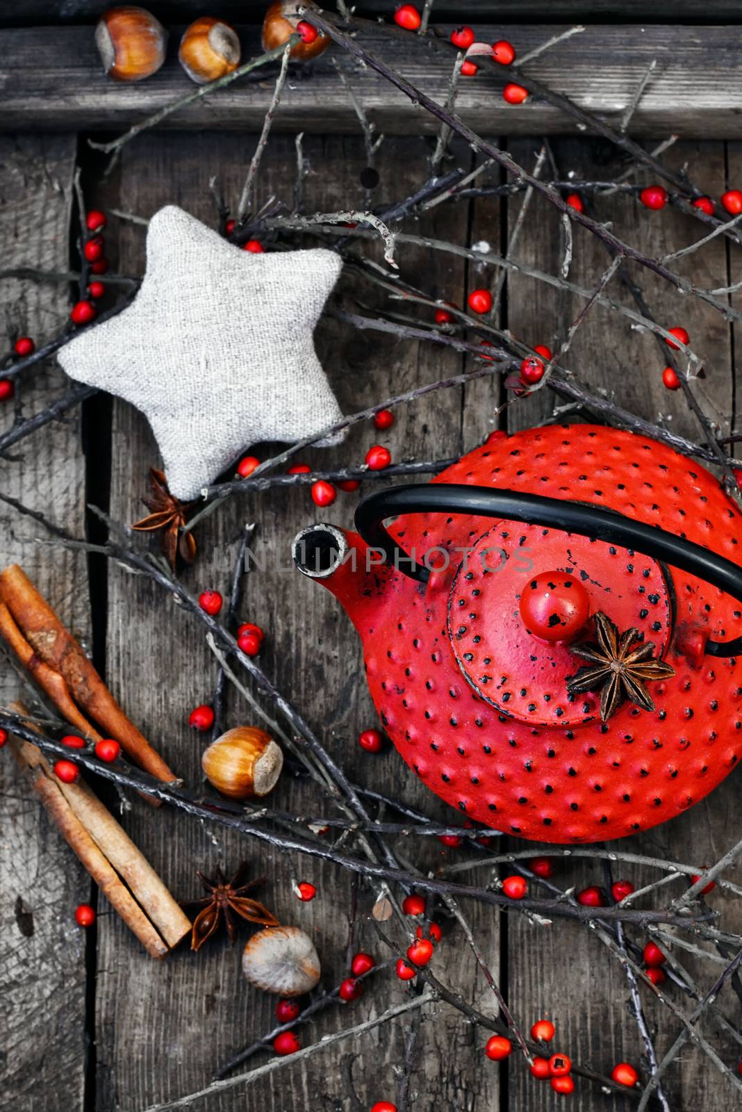 Red metal kettle,branches with berries on wooden background