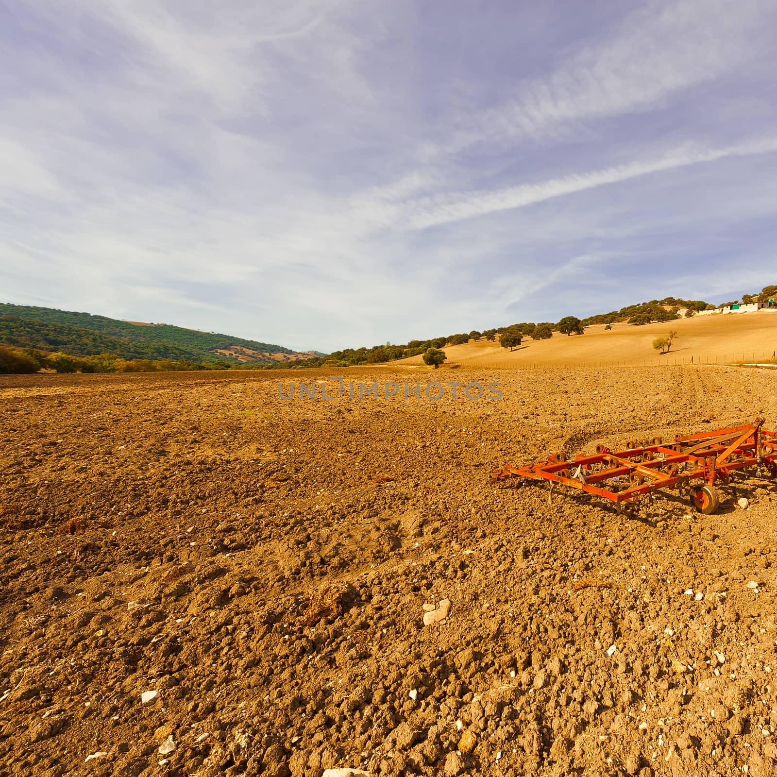 Landscape with Harrow on the Plowed Field in Spain