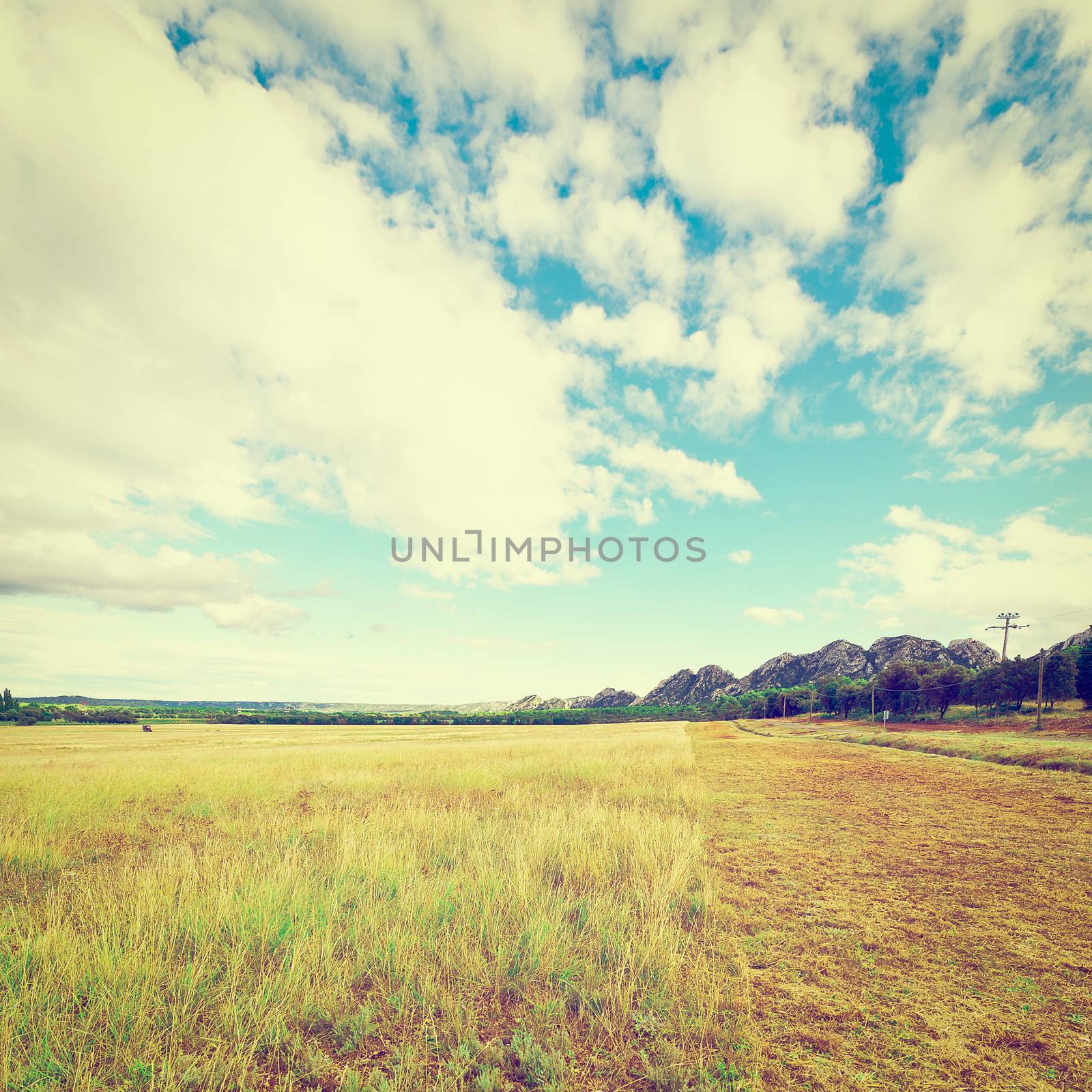 Sunny Meadow in the French Provence, Vintage Style Toned Picture