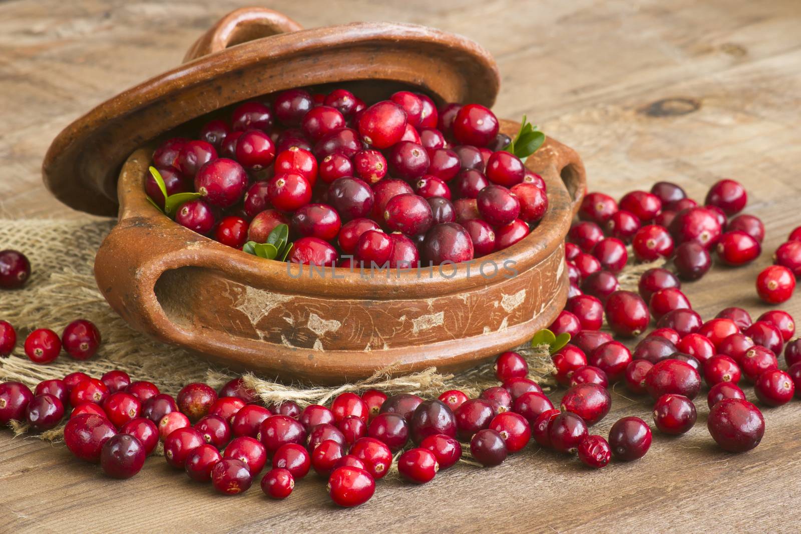 Cranberries in a pot on wooden background. by miradrozdowski