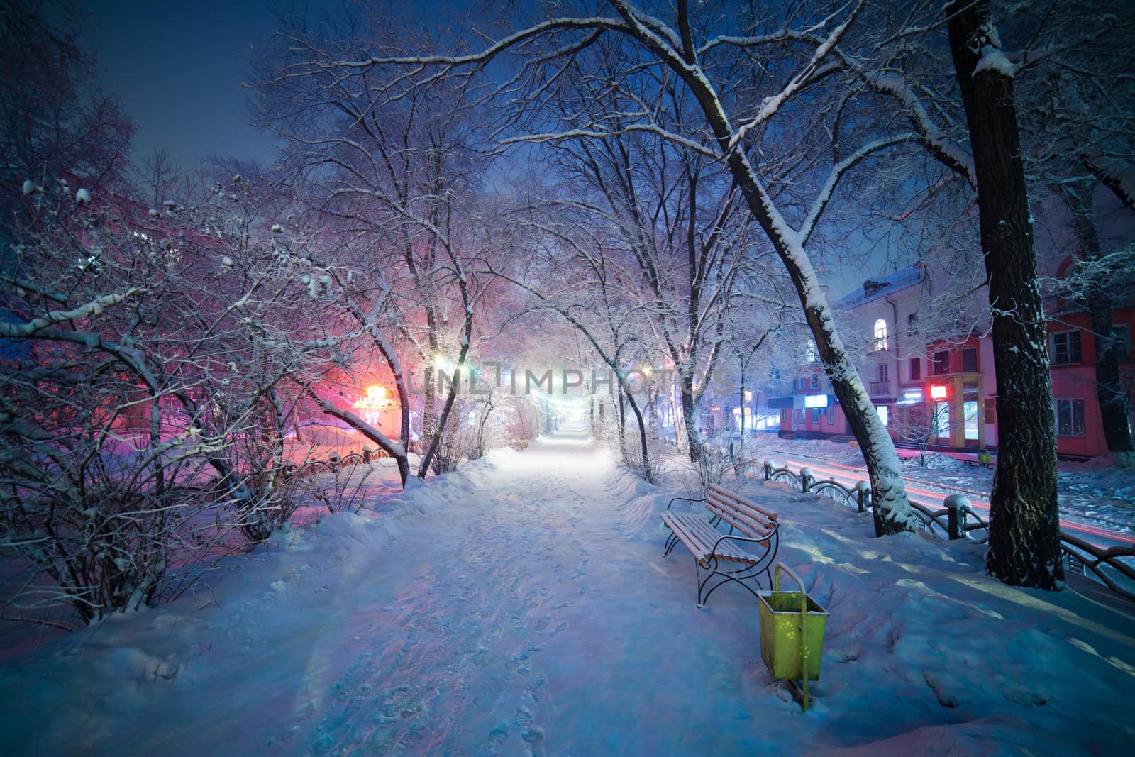 Winter landscape, night alley with bench. Beautiful light and atmosphere. The pathway creates depth in this image allowing viewers eye to progress into scene. Winter wonderland, nice mood and colors. Fairytail.