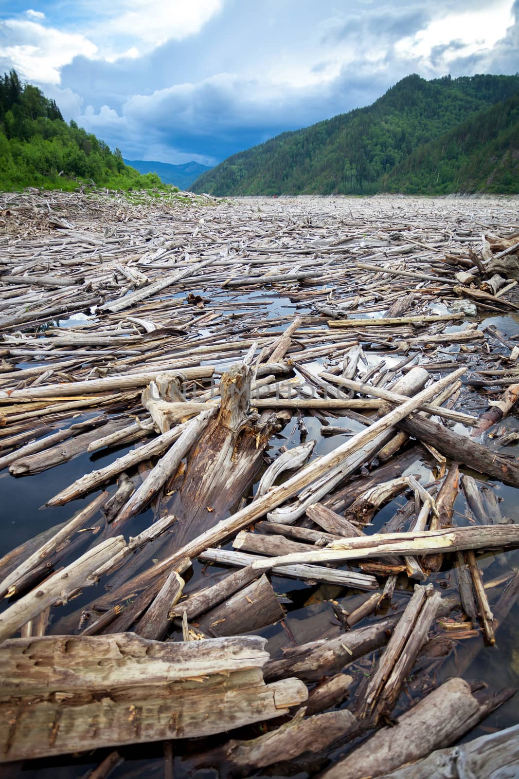 Driftwood in a river near a dam of a hydro power plant