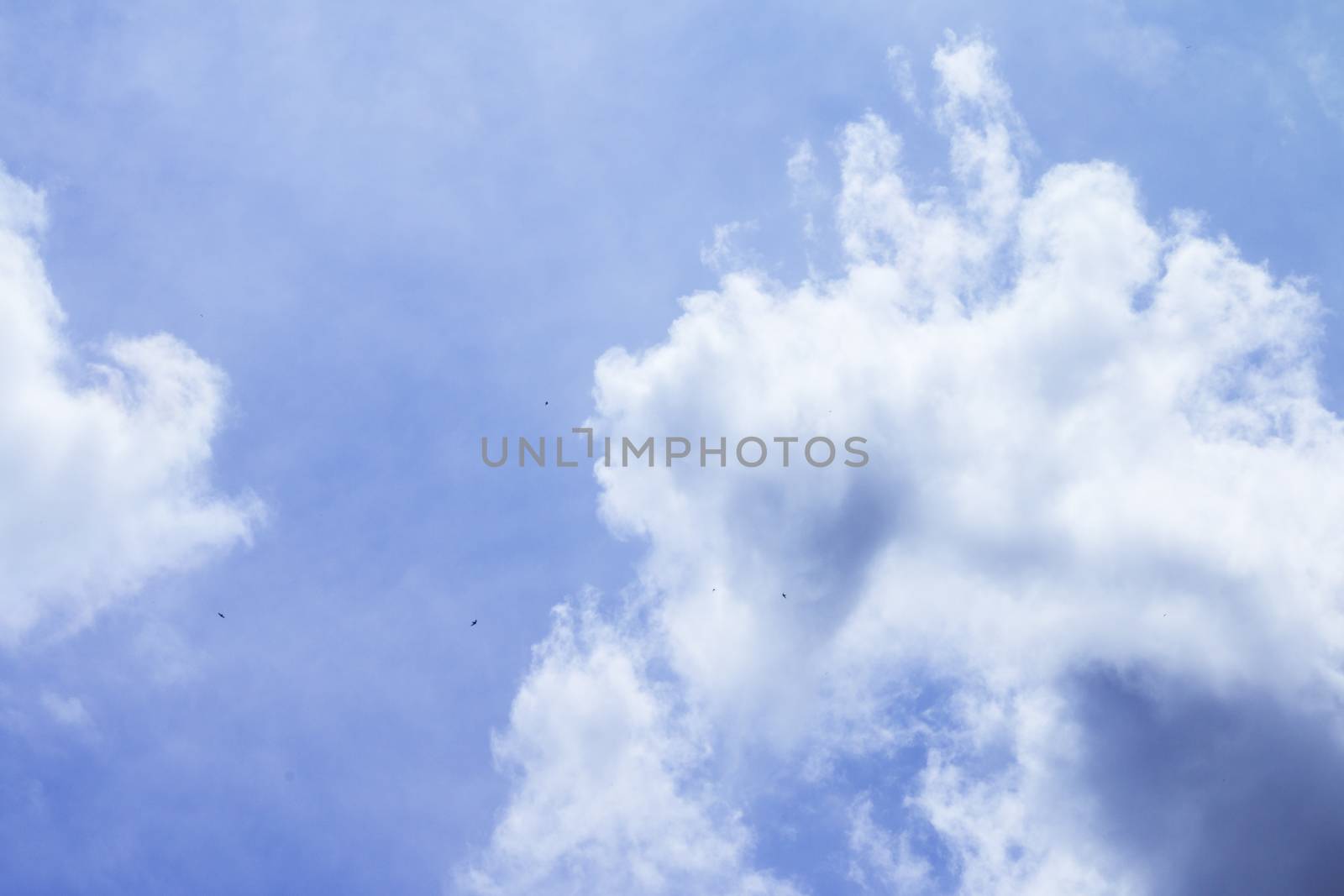 Blue sky with clouds and birds by stockbp