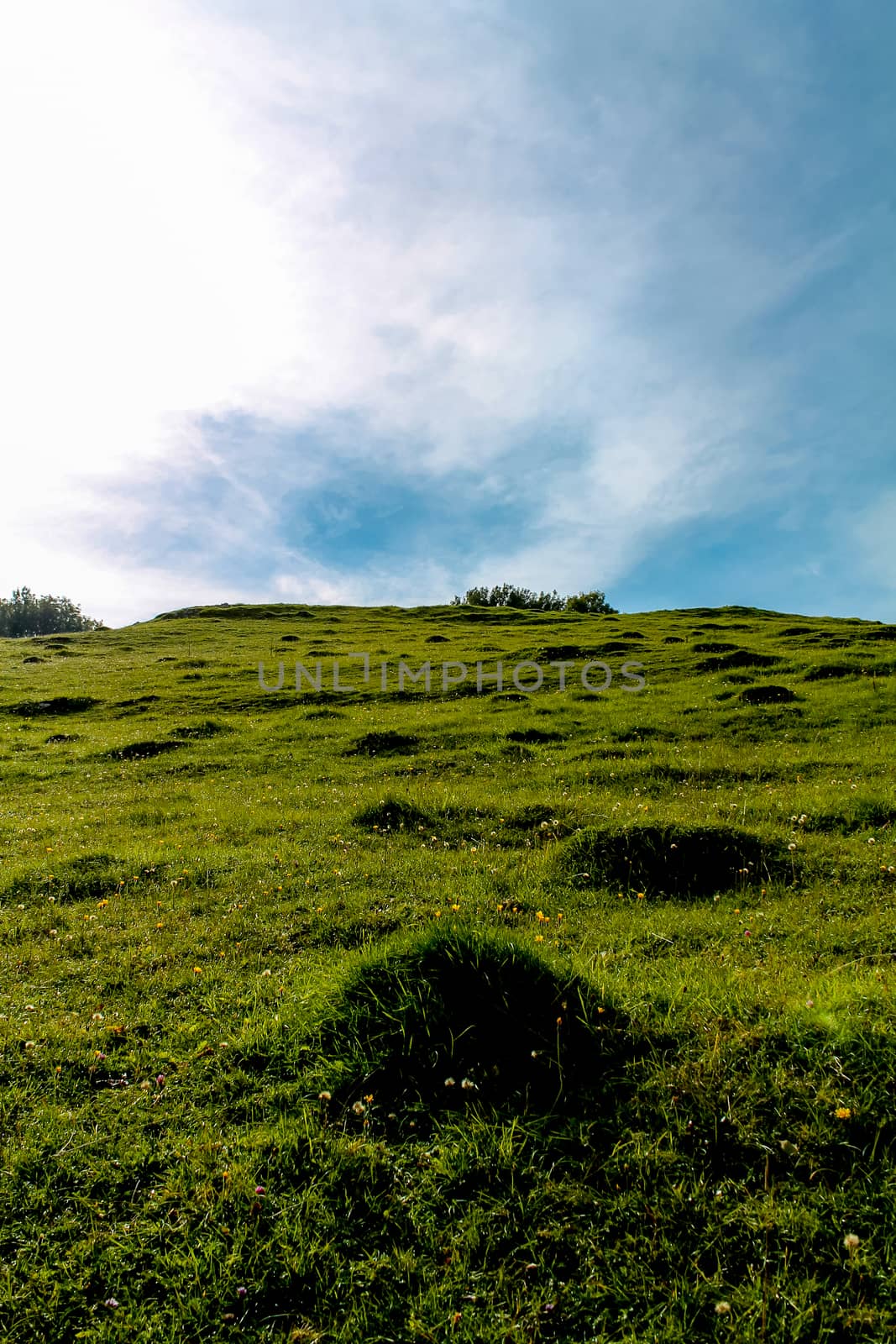 A view up a grass slope to a bright summit