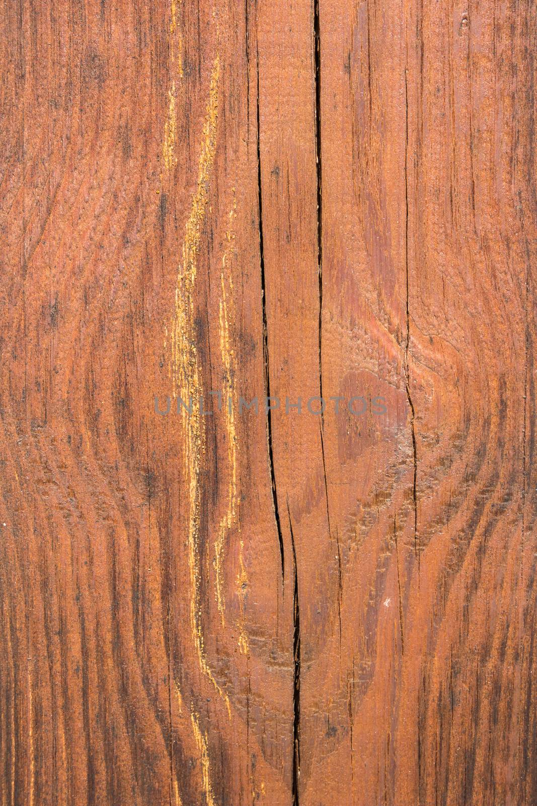 Closeup of wood texture with natural pattern.