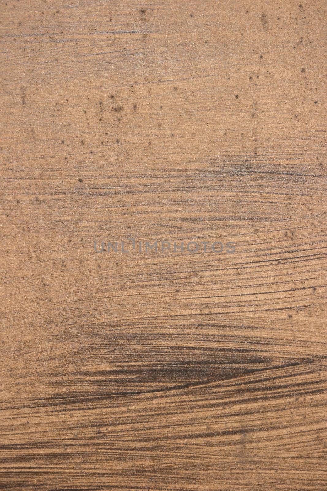 Closeup texture of wood background closeup.