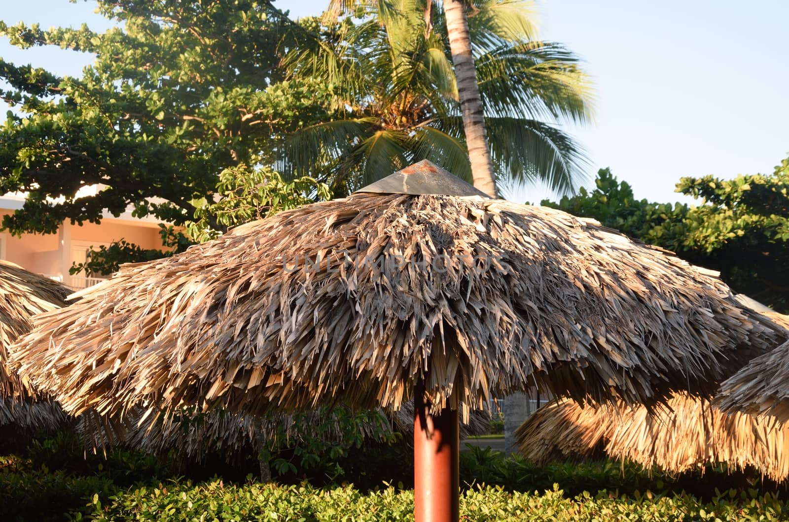 Large tropical Straw sunshade