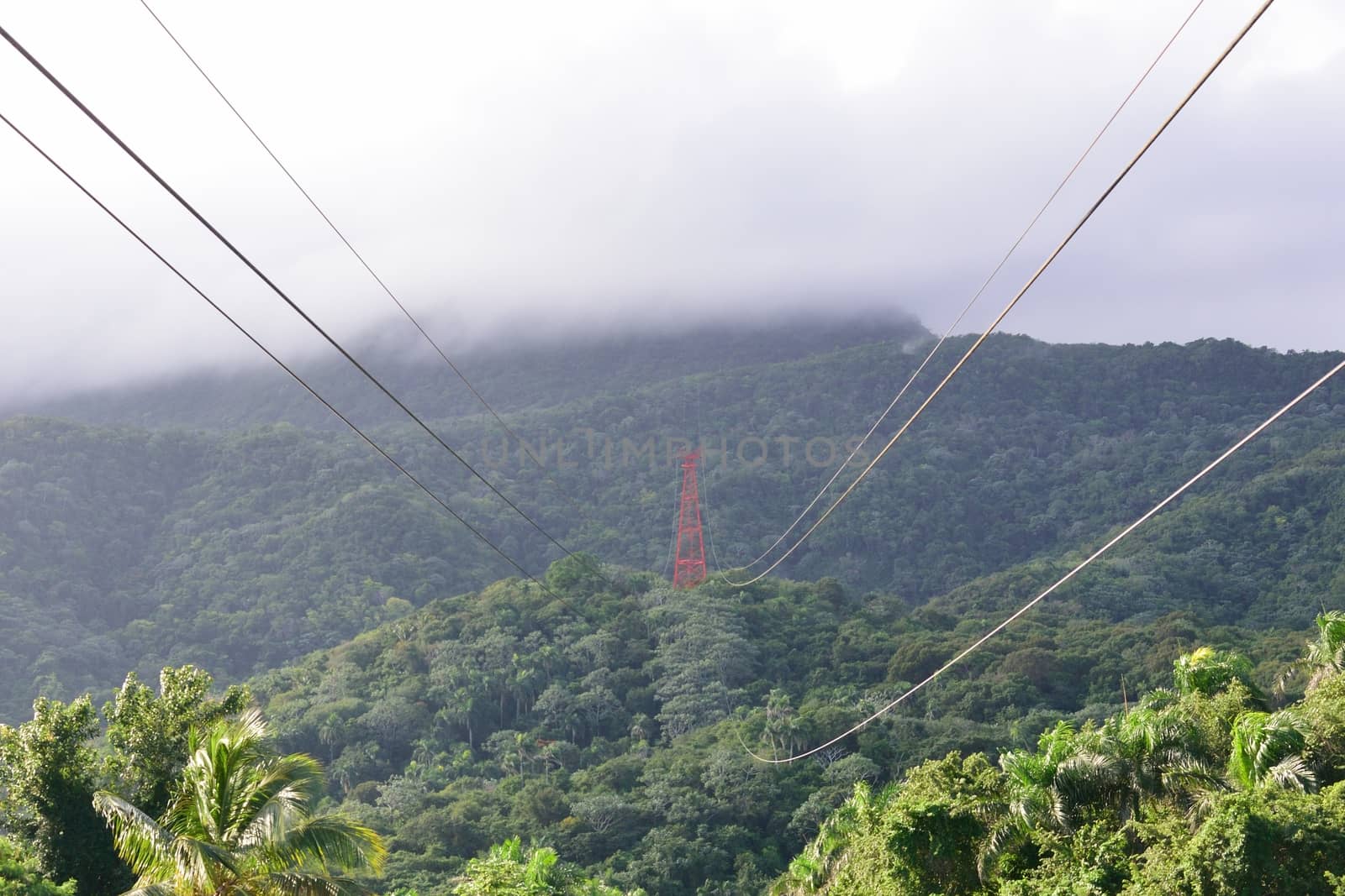 Cable car structure heading up to hills in jungle