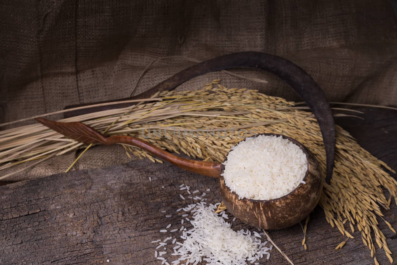 white rice in wood bowl and paddy rice on old wood background