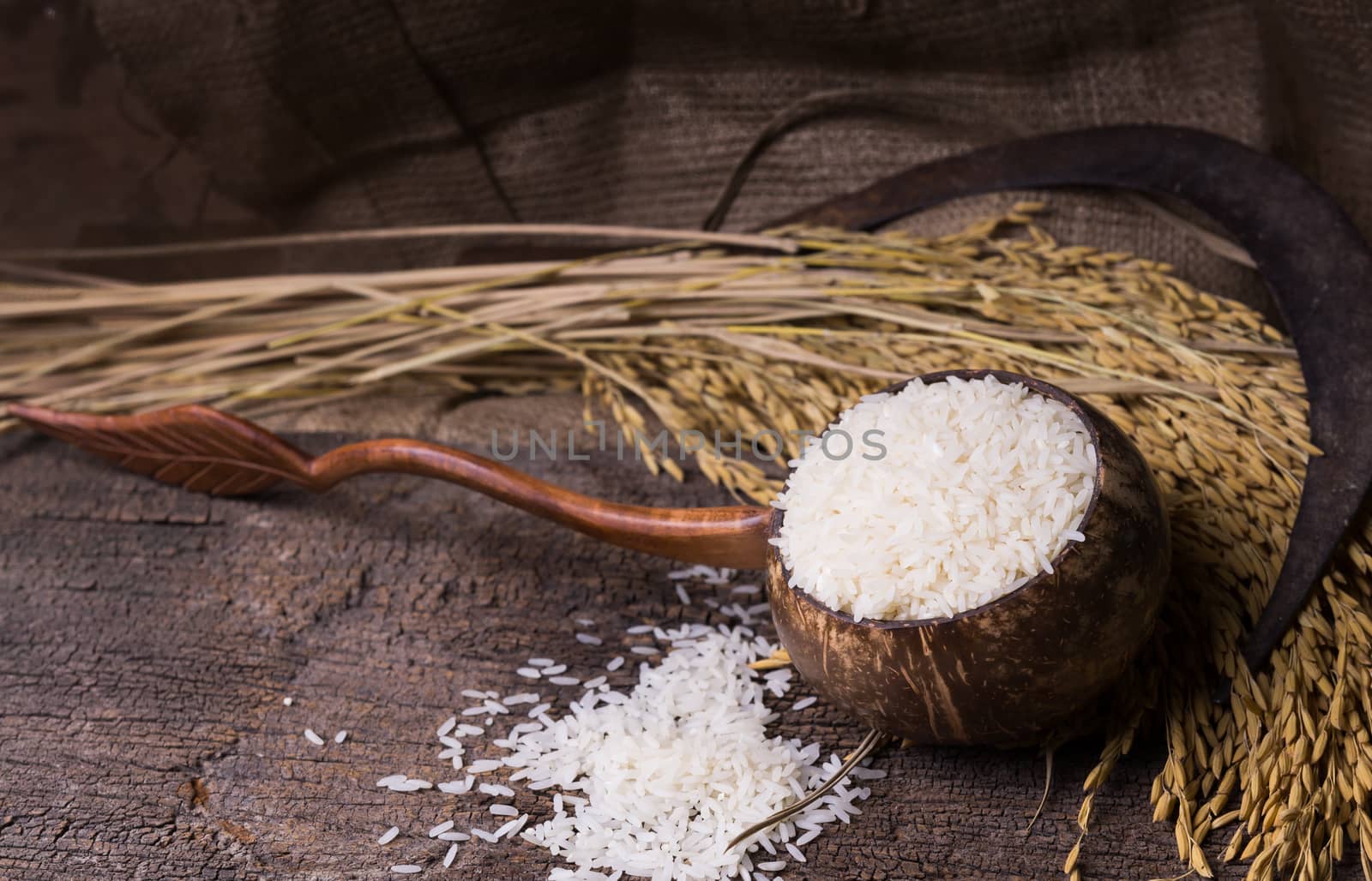 white rice in wood bowl and paddy rice on old wood background