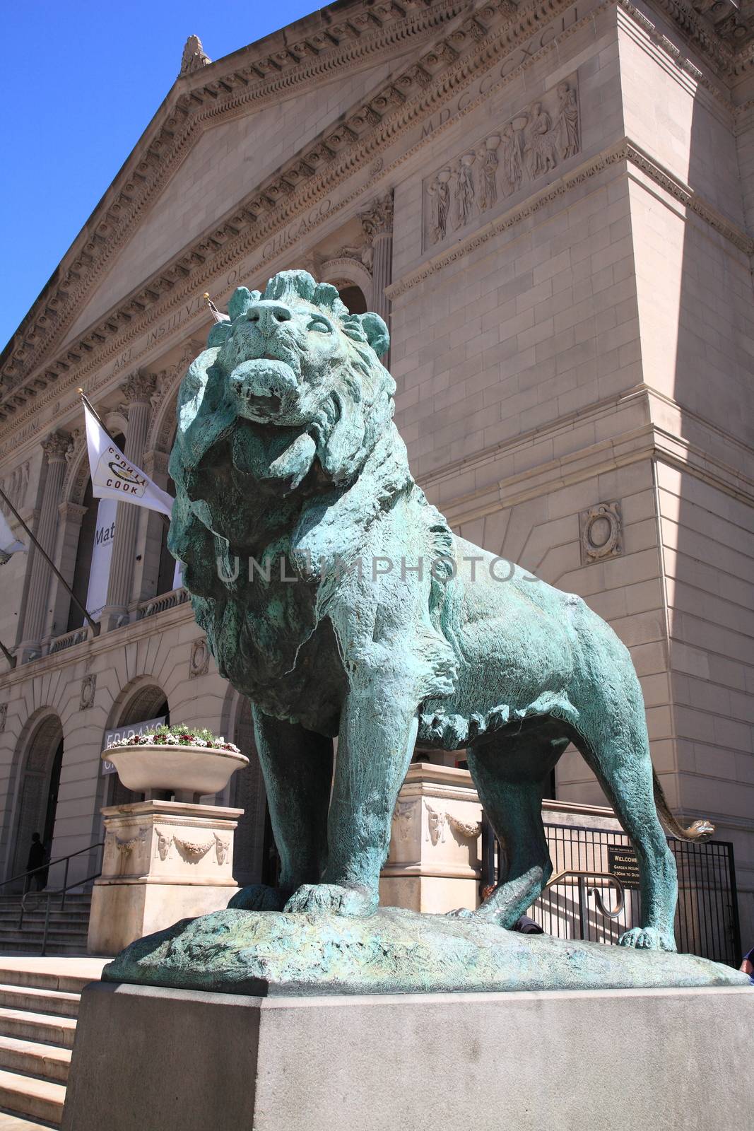 Chicago Art Institute near Grant Park in Chicago, Illionois. Famous lion statues are found outside on Michigan Avenue.