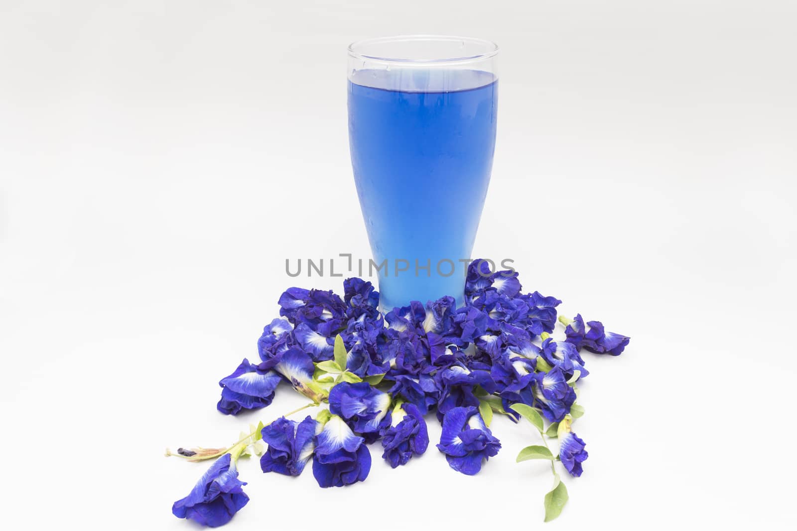Glass of butterfly pea flower juice - herb drink on white backgr by frank600