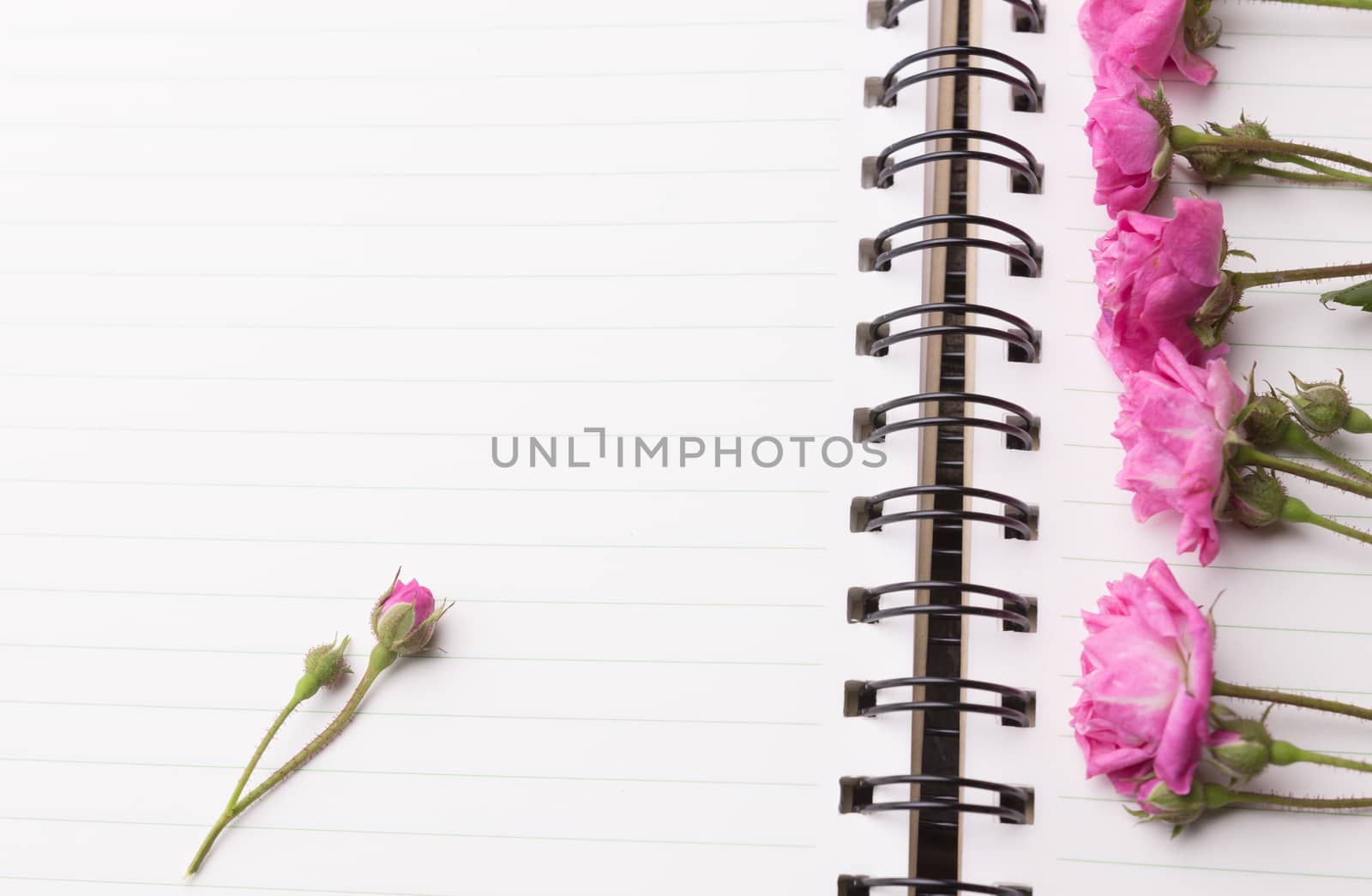 Weekend concept. Pink rose, mug with coffee, diary and pen on a wooden table. Selective focus, copy space background