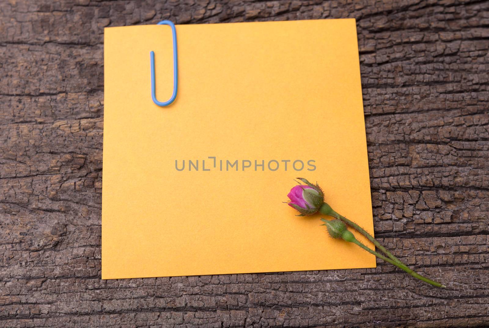 close up of grunge note paper on wooden background